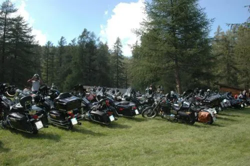 Garden in Hotel Rubino