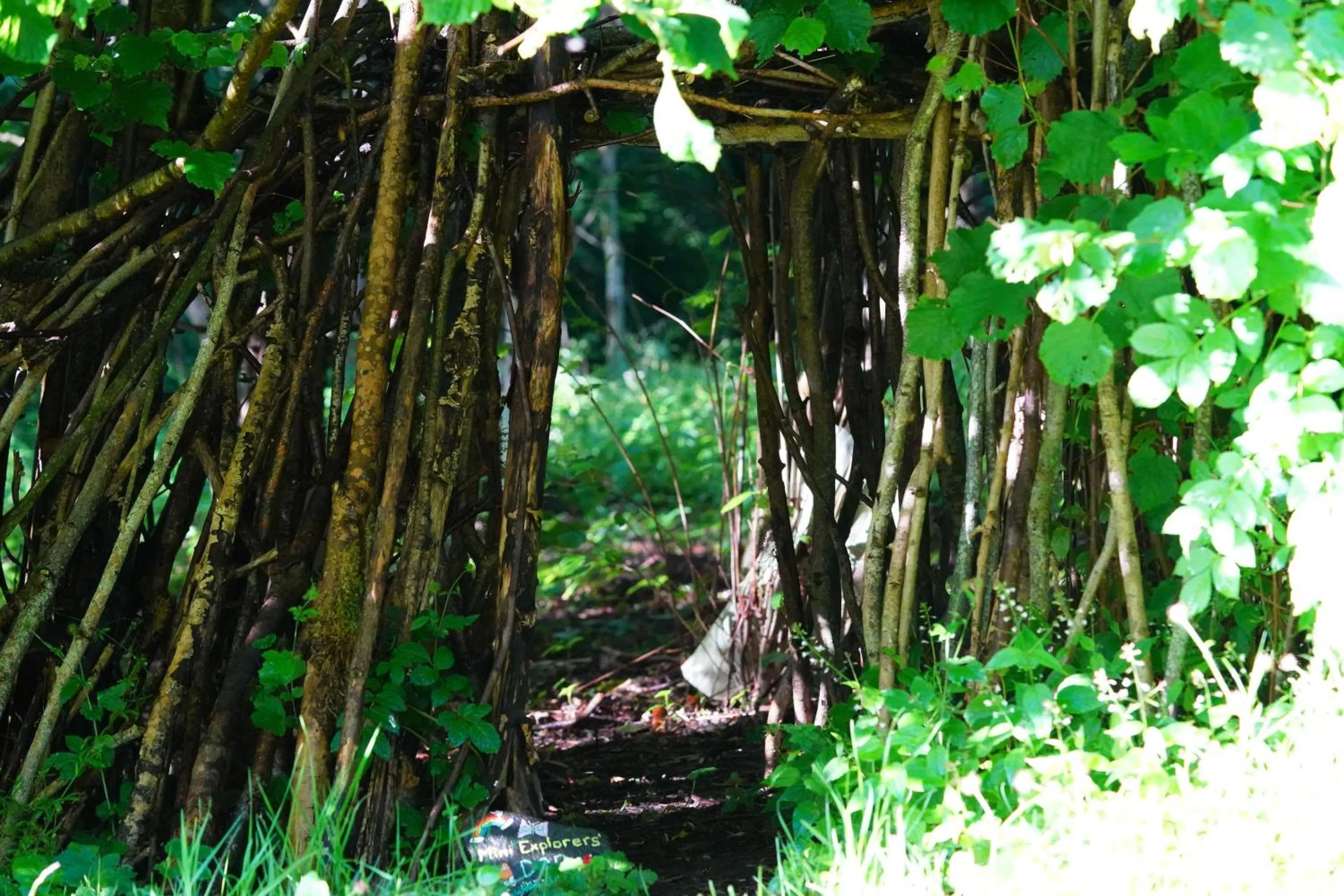 Natural landscape in Linwater Caravan Park - Luxury Lodges and Static Caravans near Edinburgh