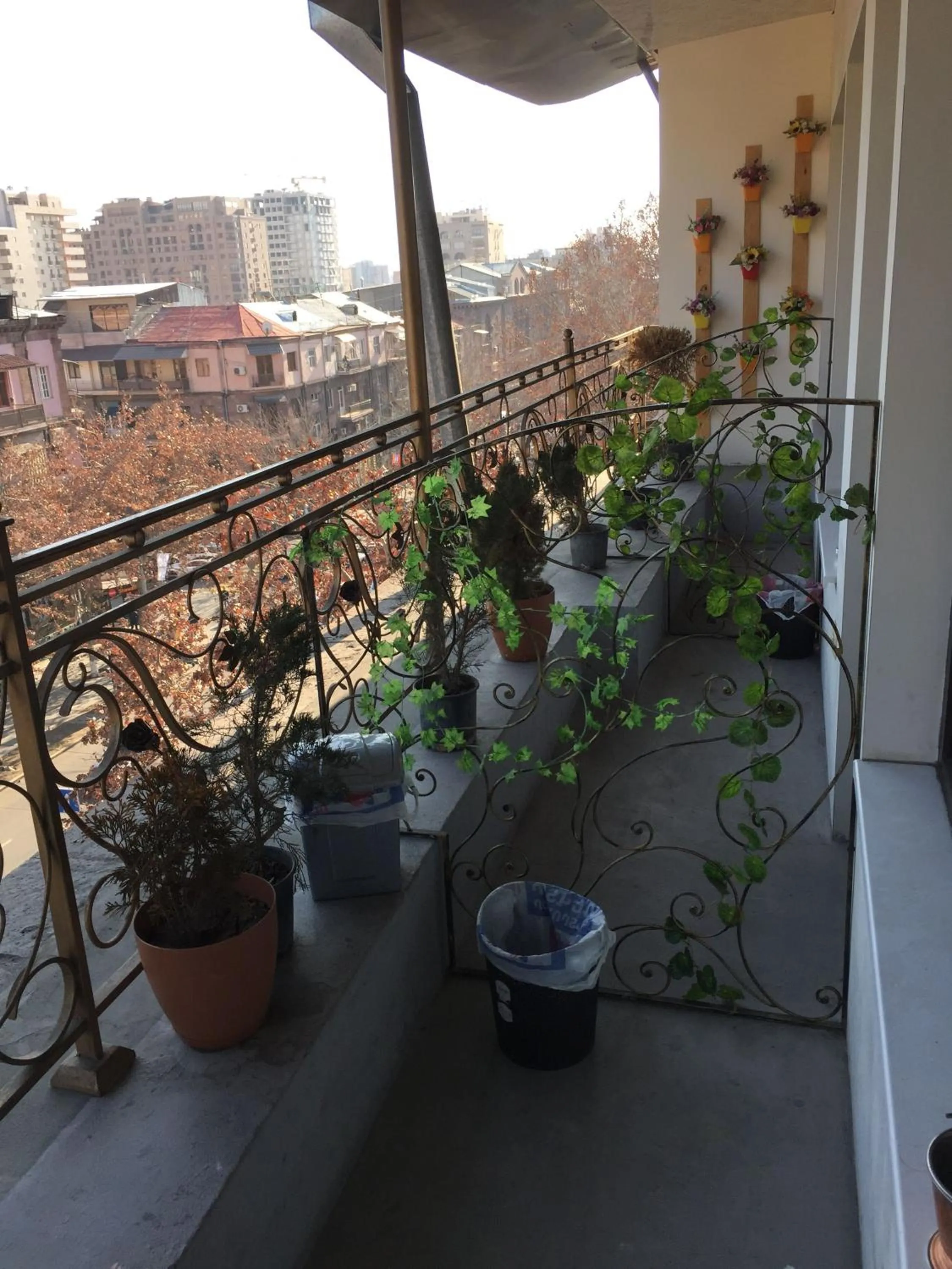 Balcony/Terrace in Arm Hostel