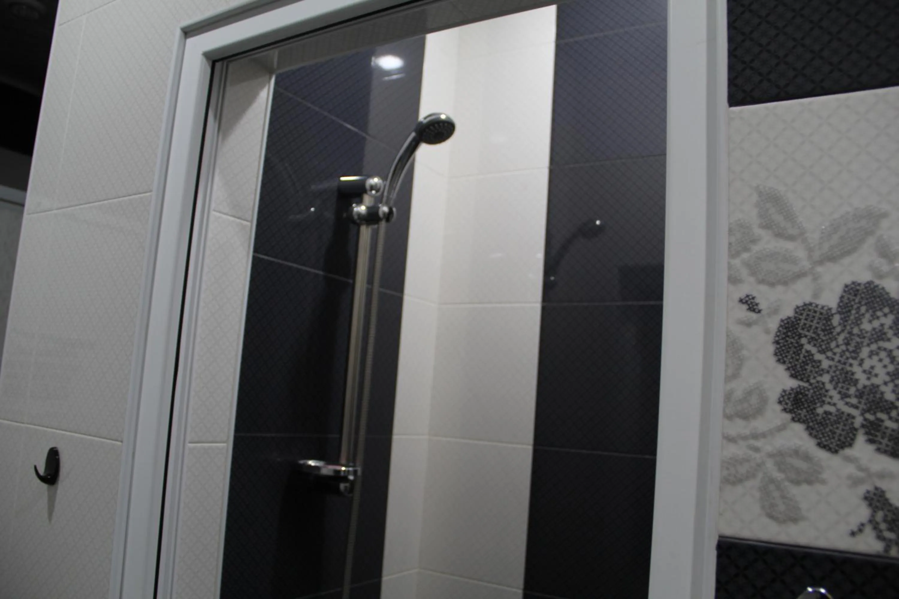 Area and facilities in Arm Hostel