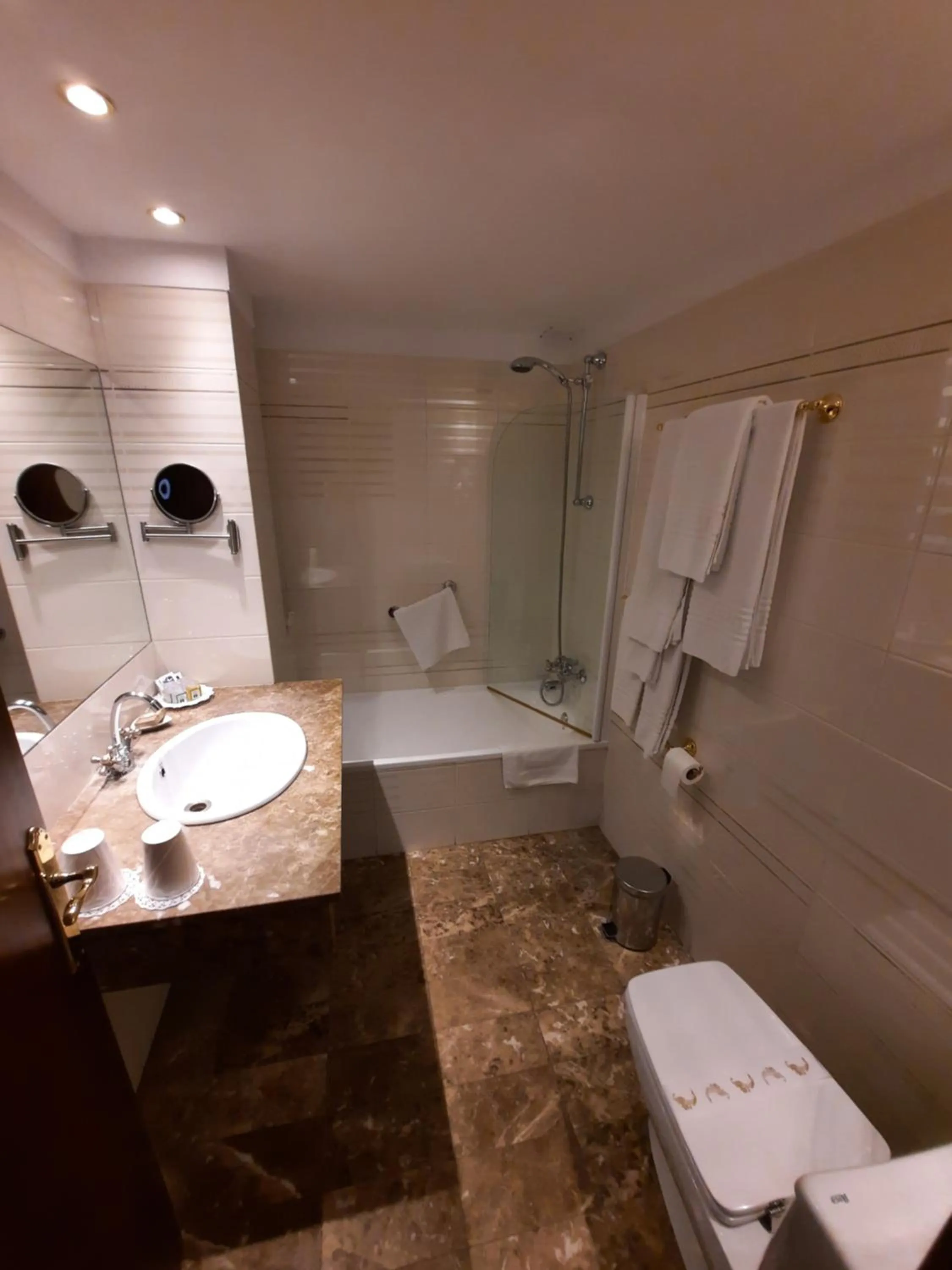 Bathroom in Hotel Edelweiss