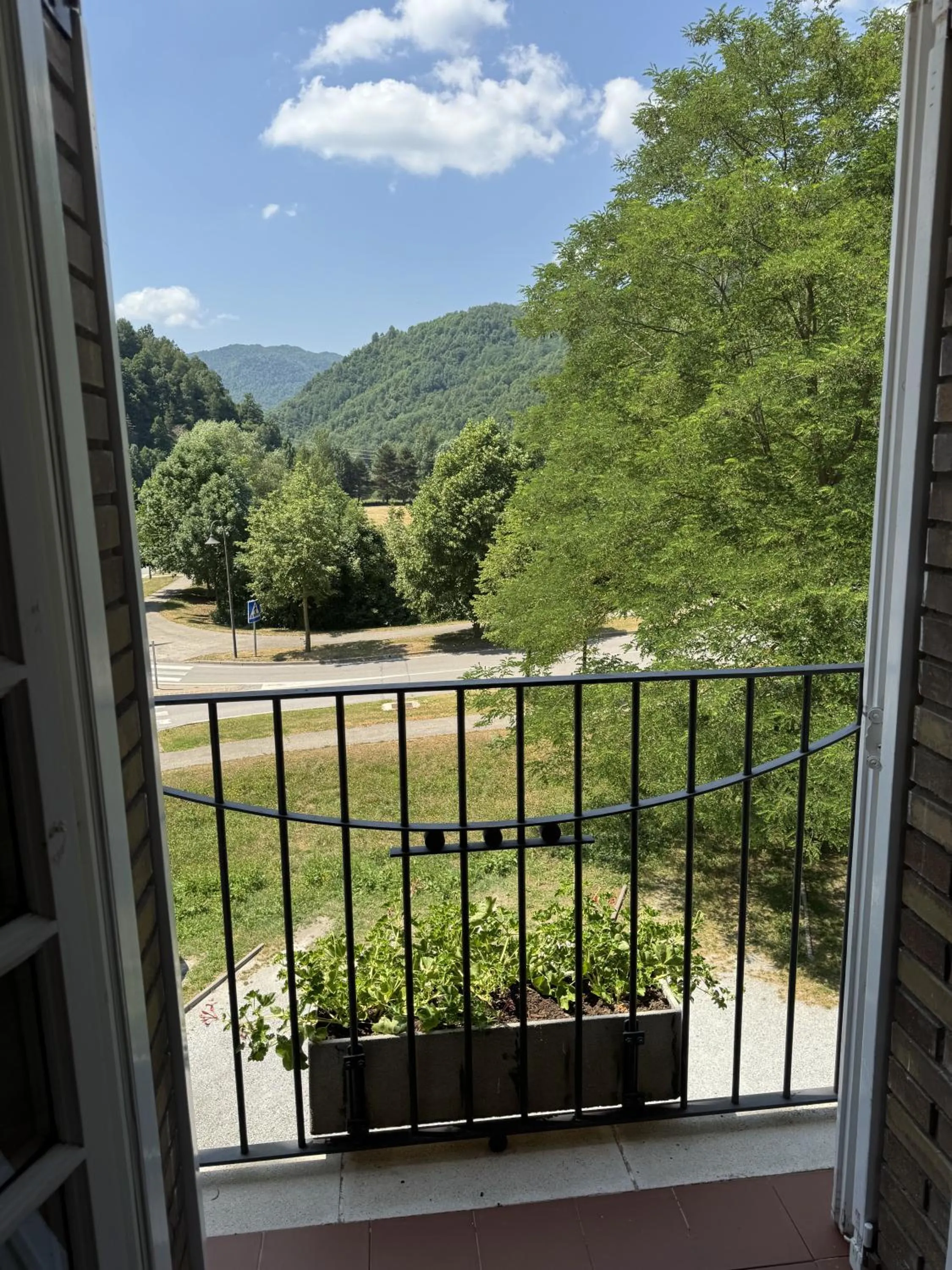 Balcony/Terrace in Hotel Edelweiss