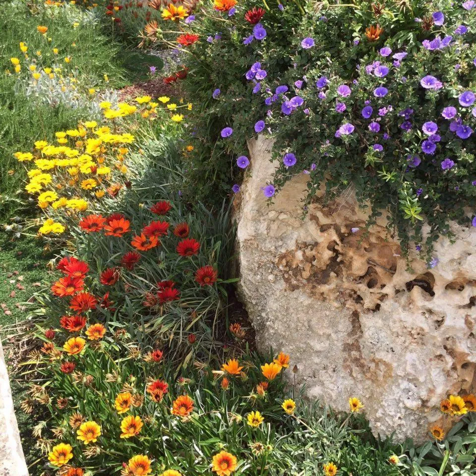 Garden in Il Trulletto