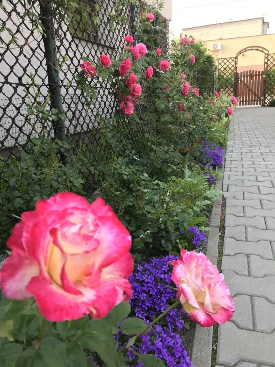 Garden in Kathia Pokoje Gościnne