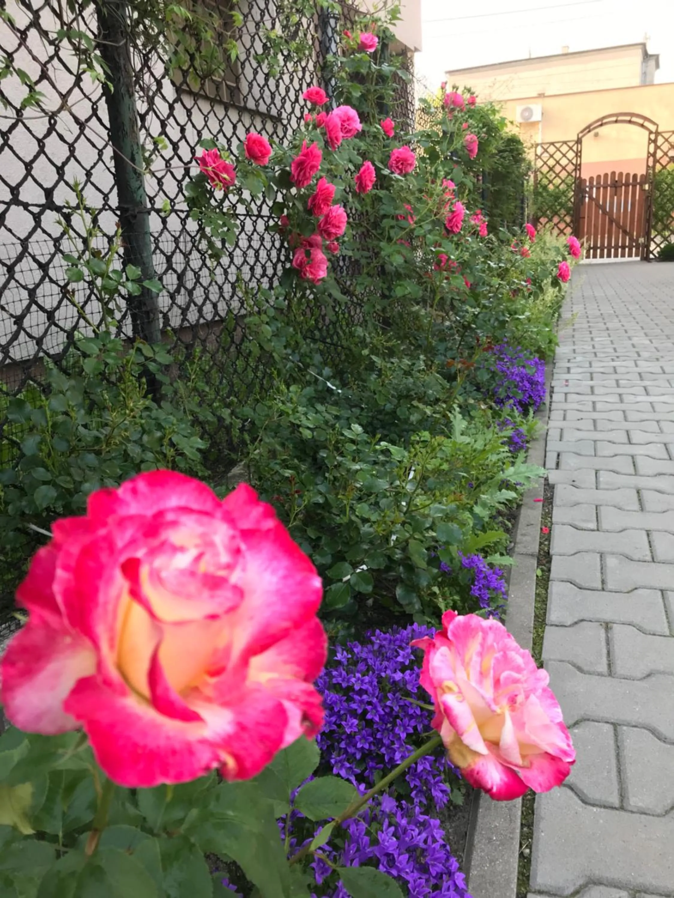 Garden in Kathia Pokoje Gościnne