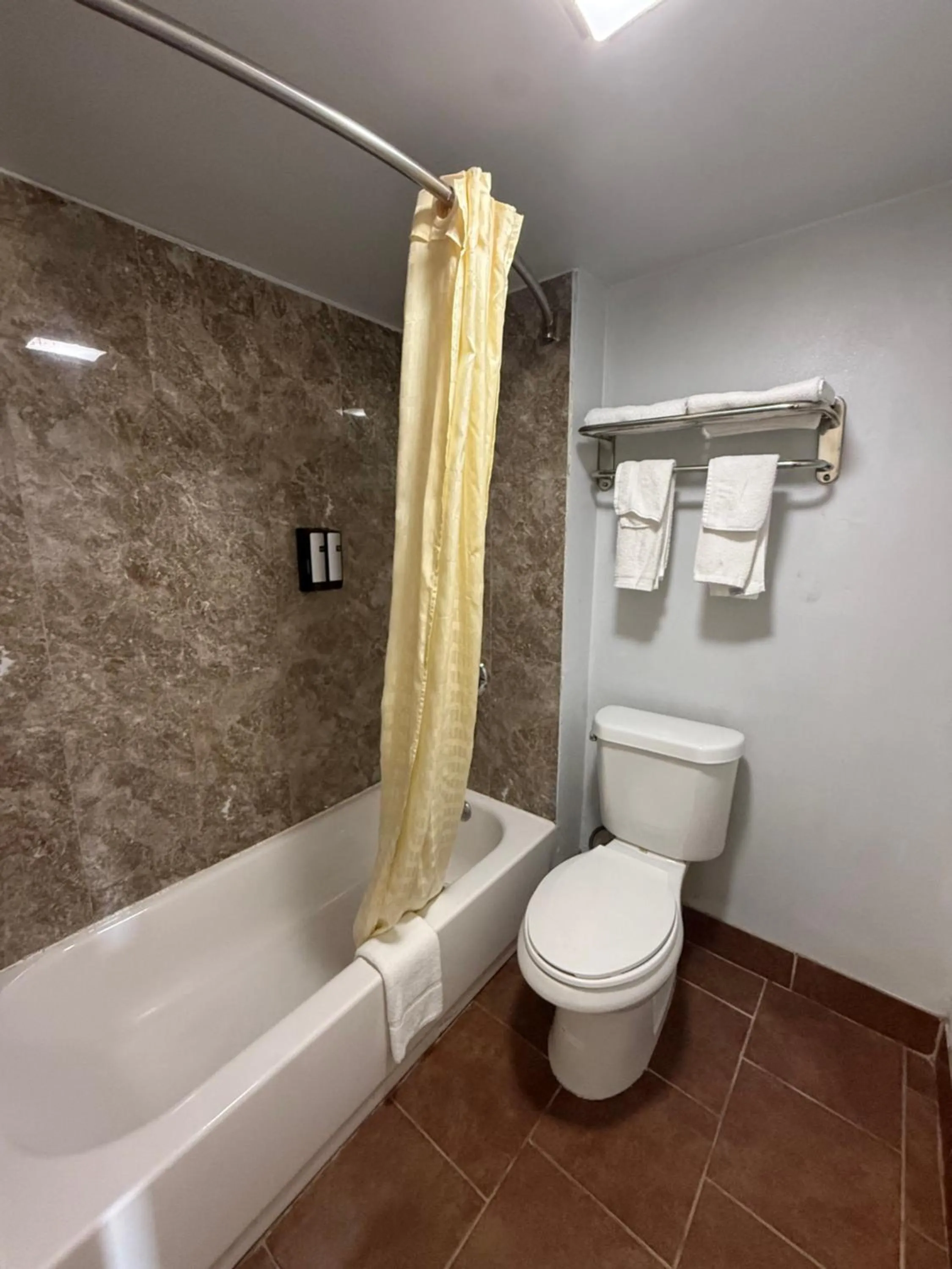 Toilet in American Inn & Suites