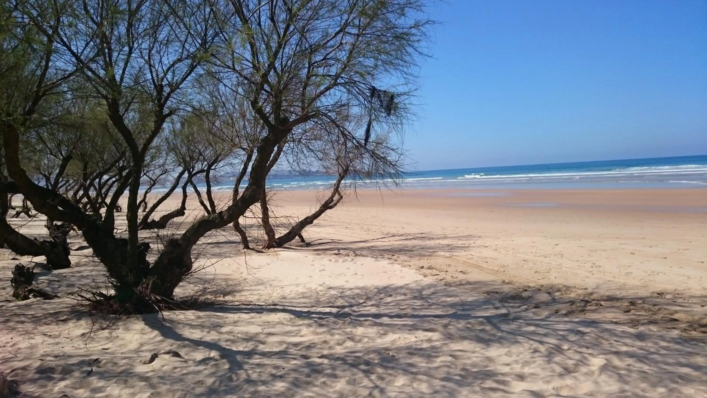 Spring in Hotel Azcona