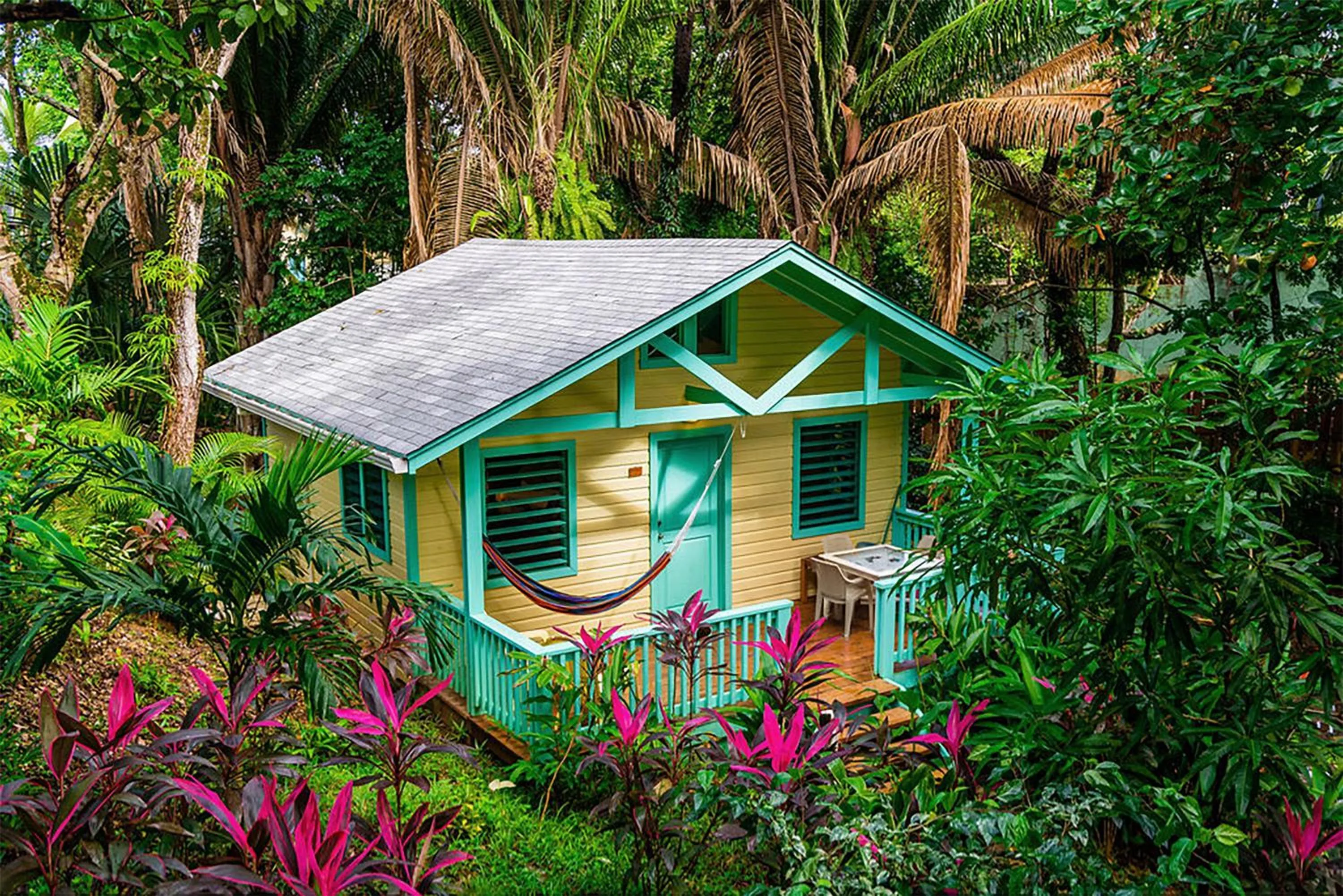 Garden view in Puerta Azul