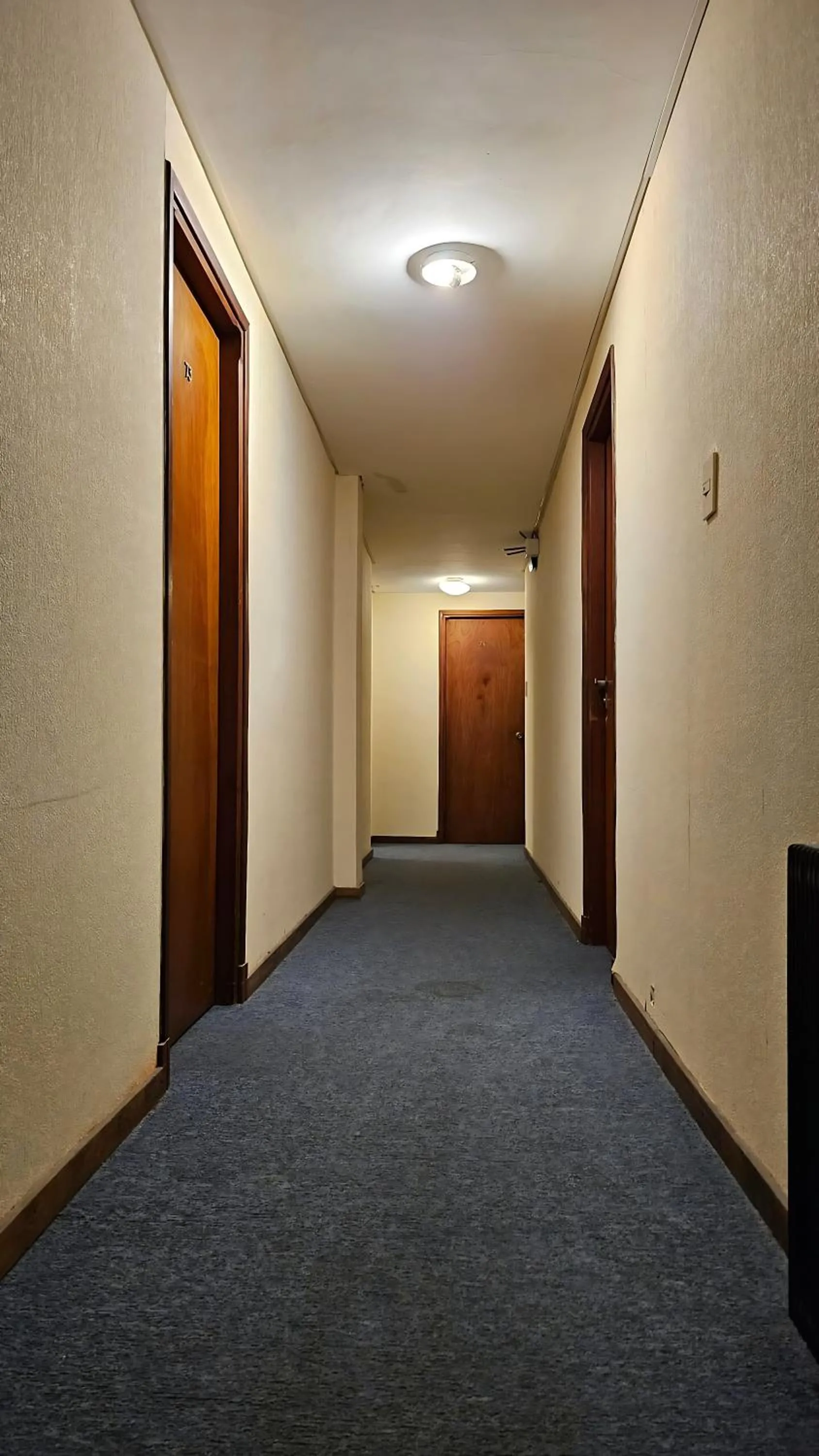 Area and facilities in Apolo Hotel