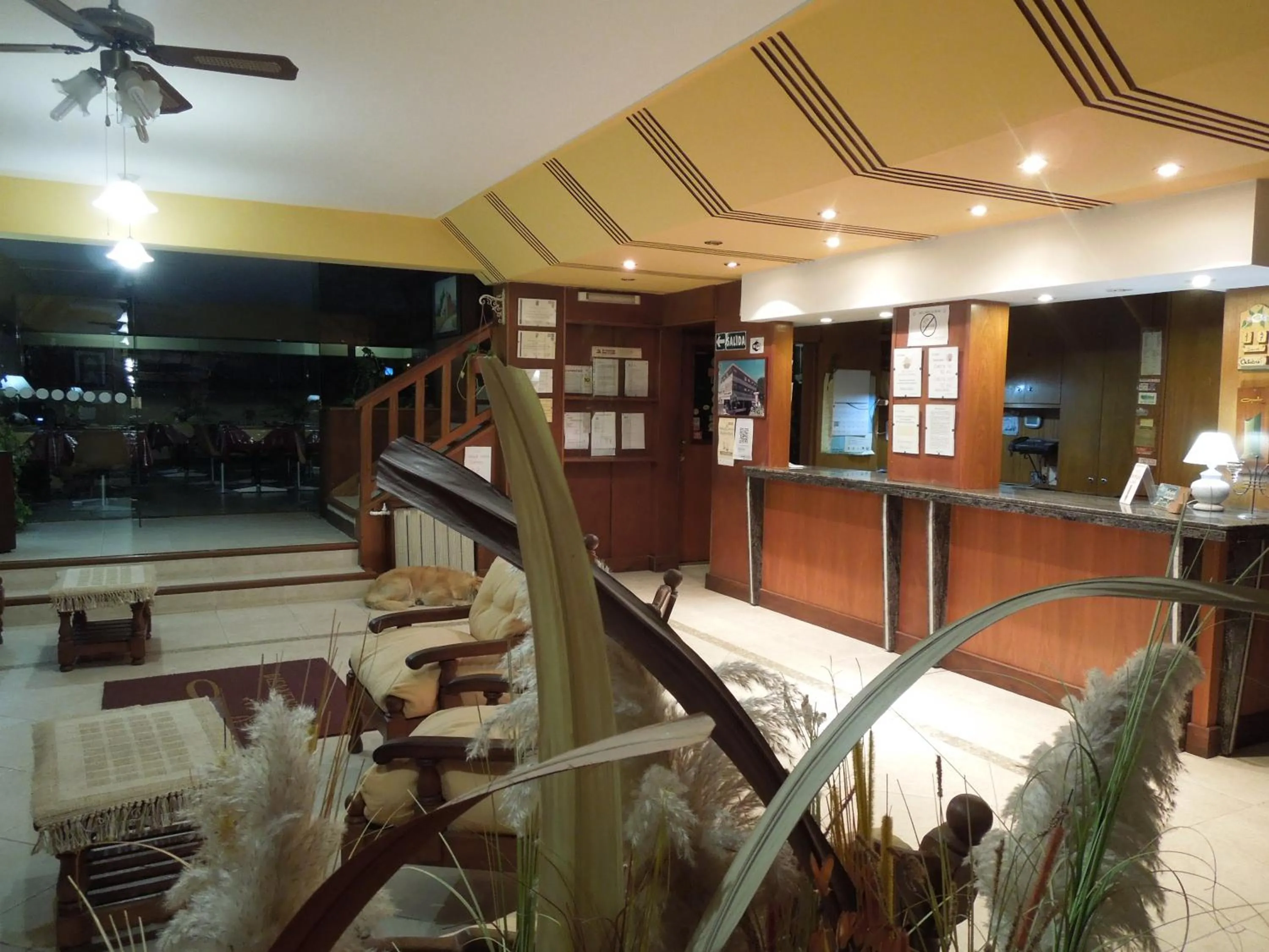 Lobby or reception in Apolo Hotel
