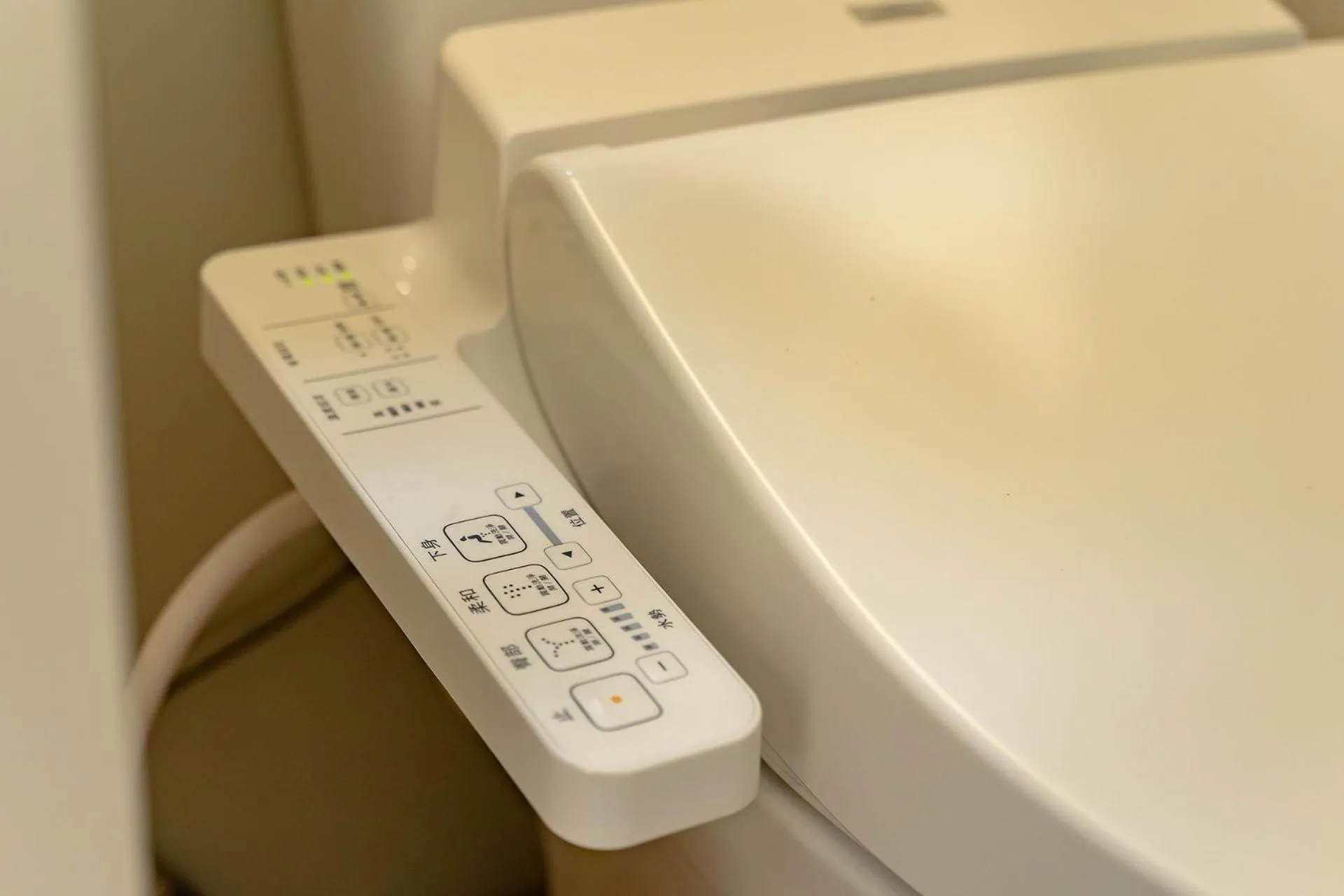 Tudor Dynasty Homestay