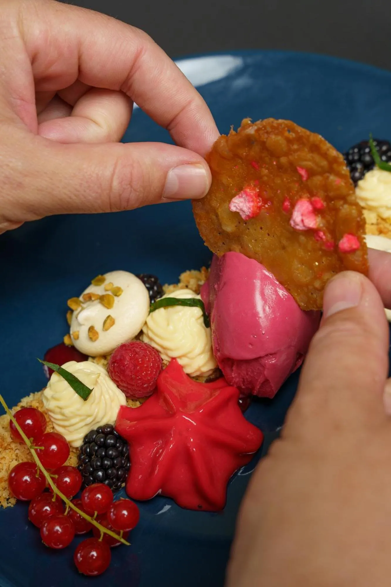 Dinner in Logis Le Grand Hotel