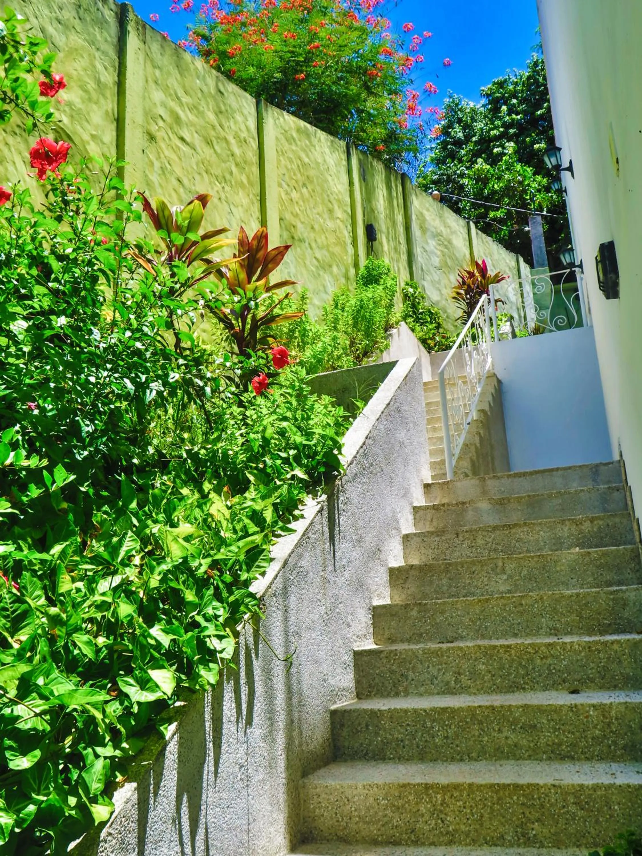 Other in Pousada Natureza