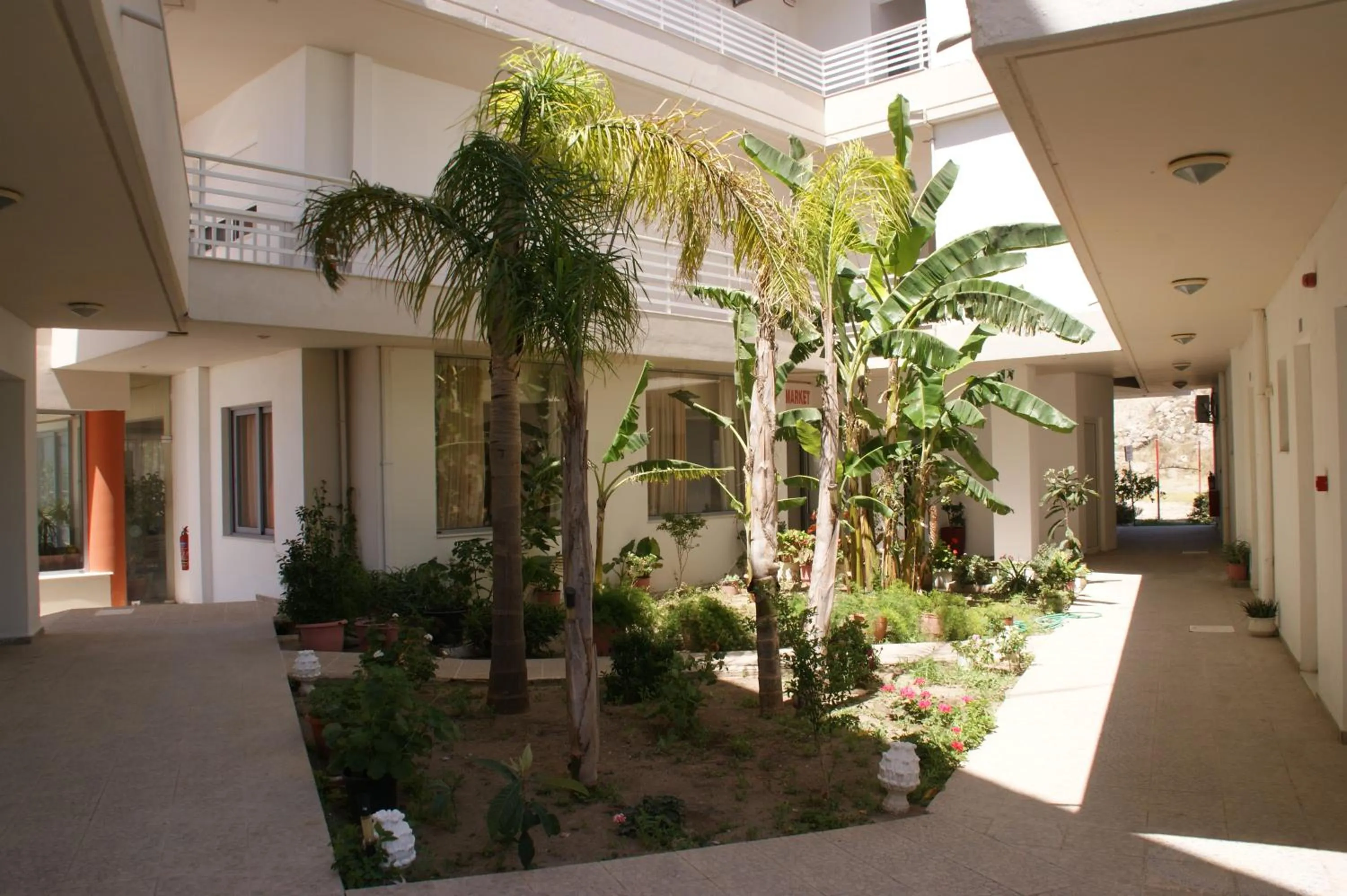 Day in Faliraki Dream Studios & Apartments