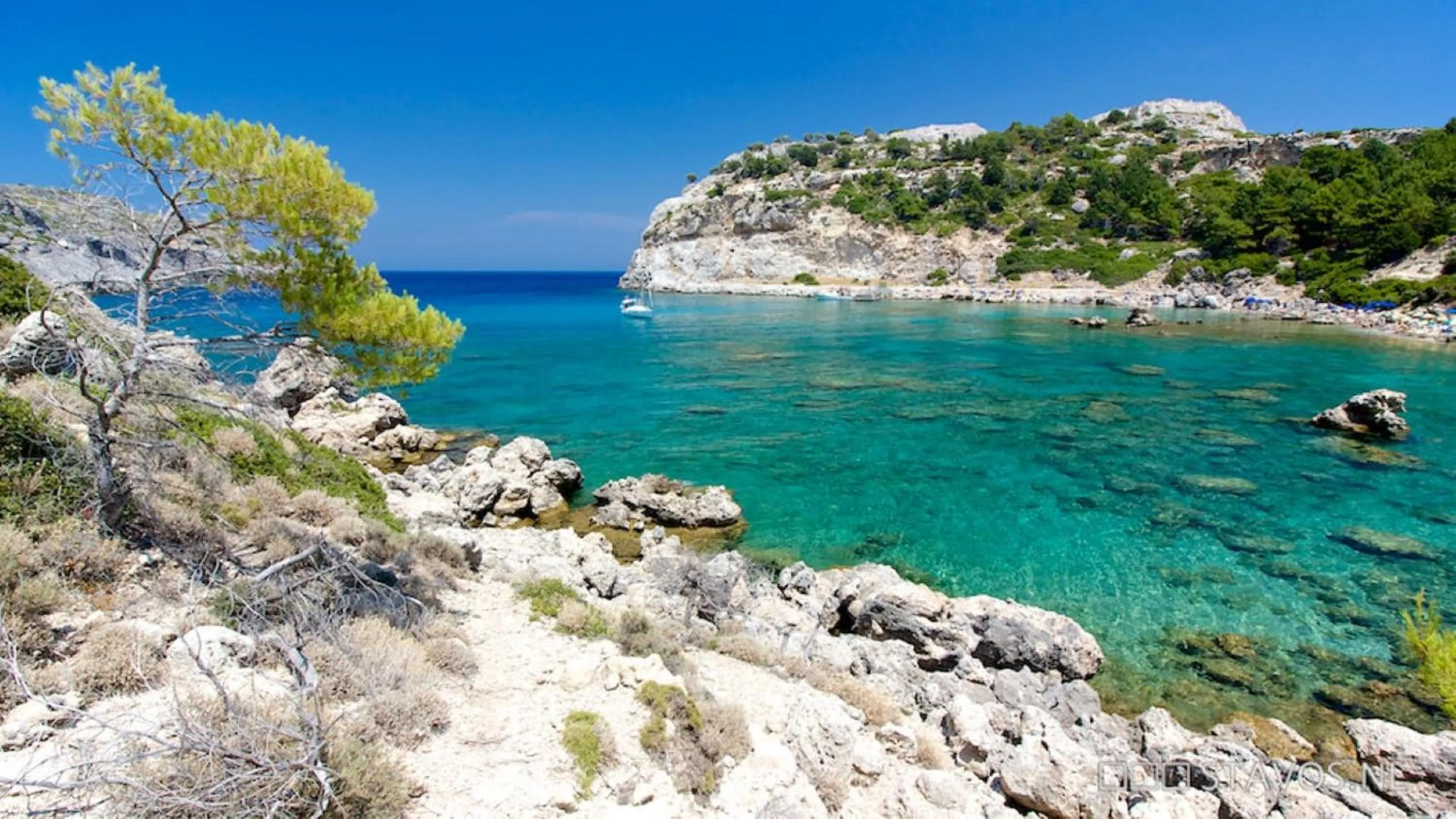 Day in Faliraki Dream Studios & Apartments