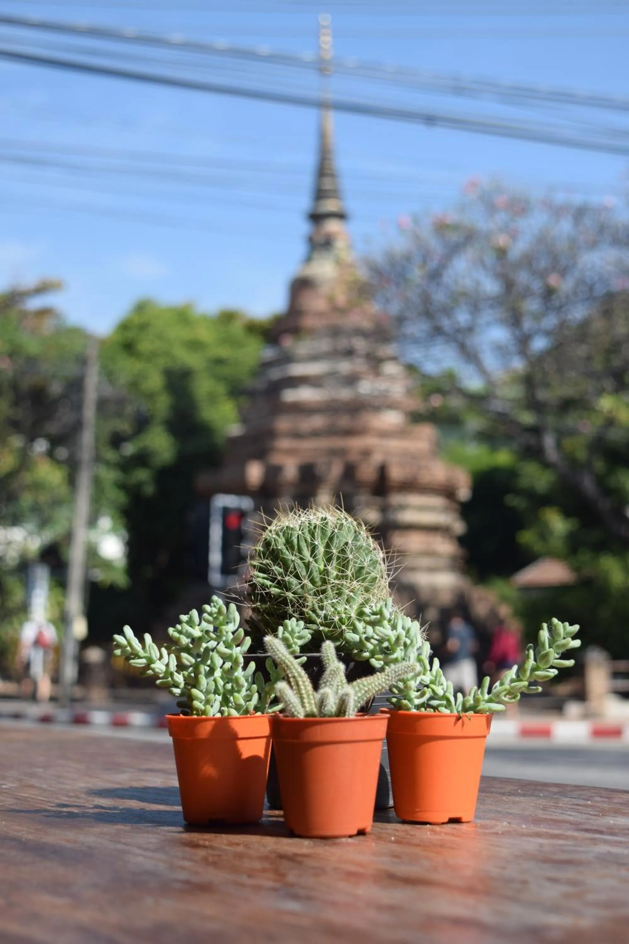 Other in See You Soon, Chiang Mai