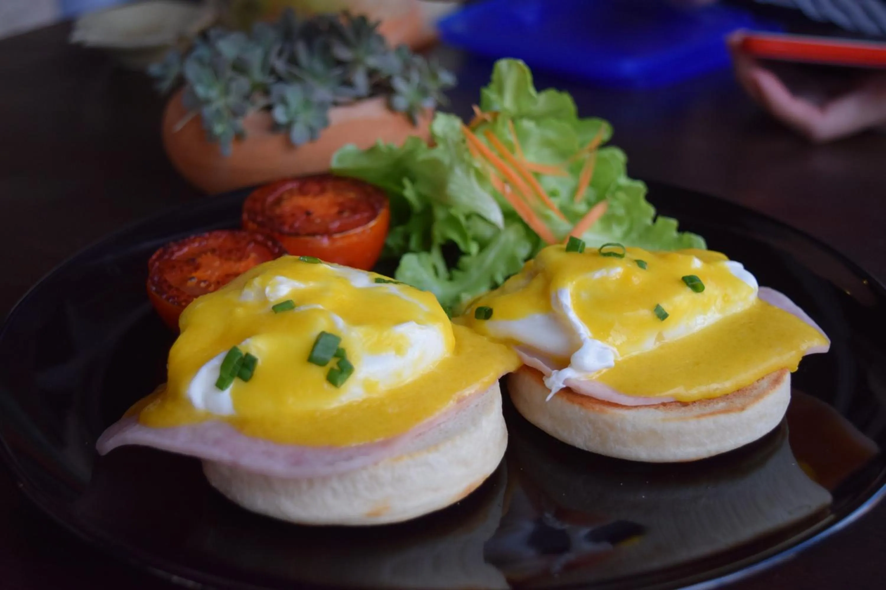 Food close-up in See You Soon, Chiang Mai