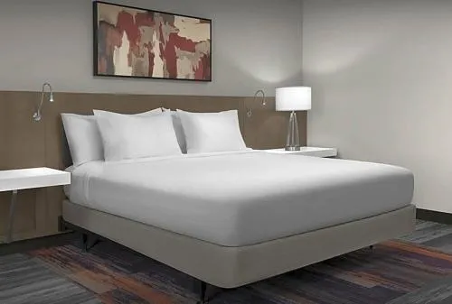 Hilton Garden Inn Steele Creek Charlotte