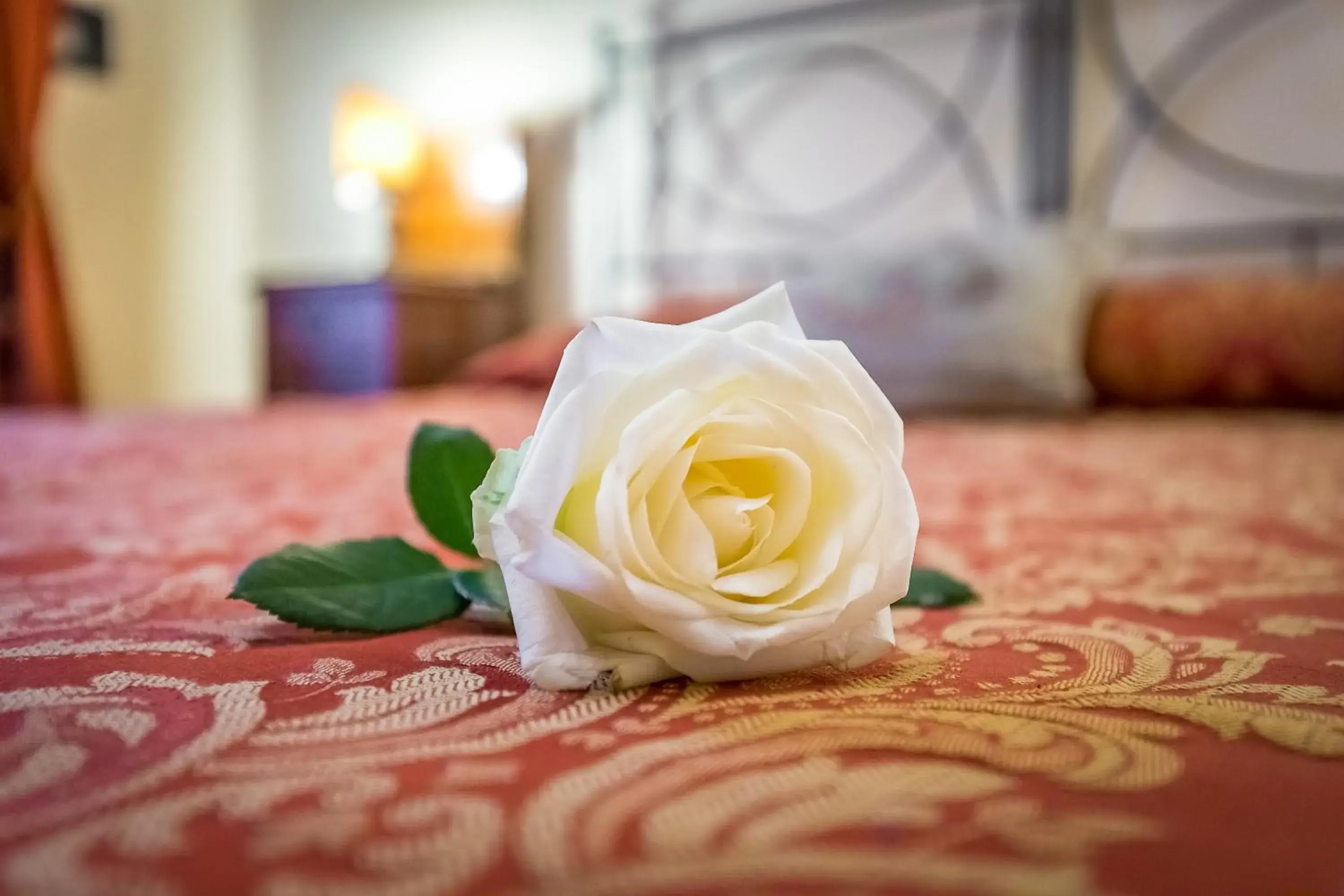 Bed in Casa di Barbano Bed in Casa di Barbano