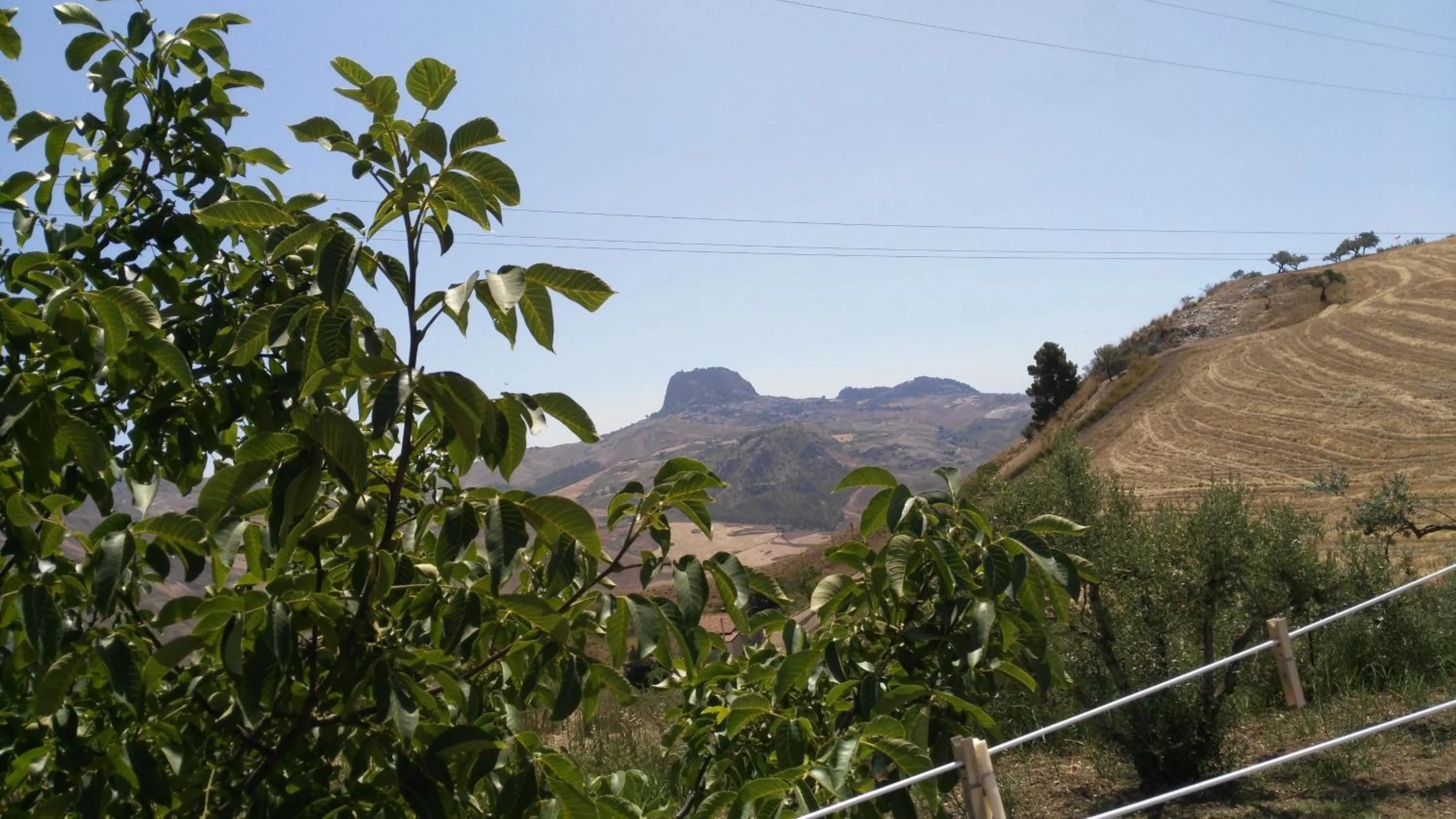 On site in Bed and Breakfast Arcobaleno