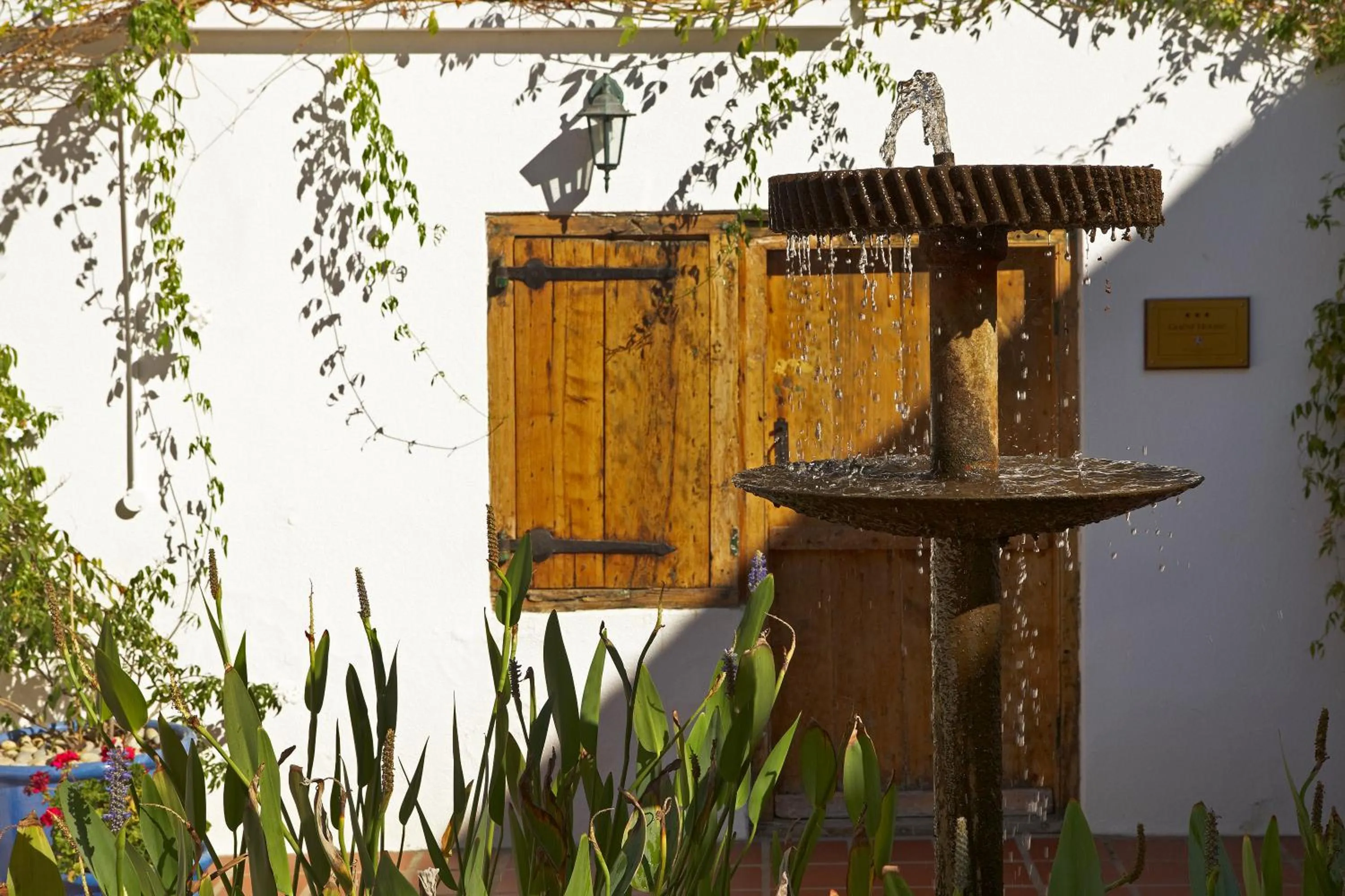 Decorative detail in Yellow Aloe