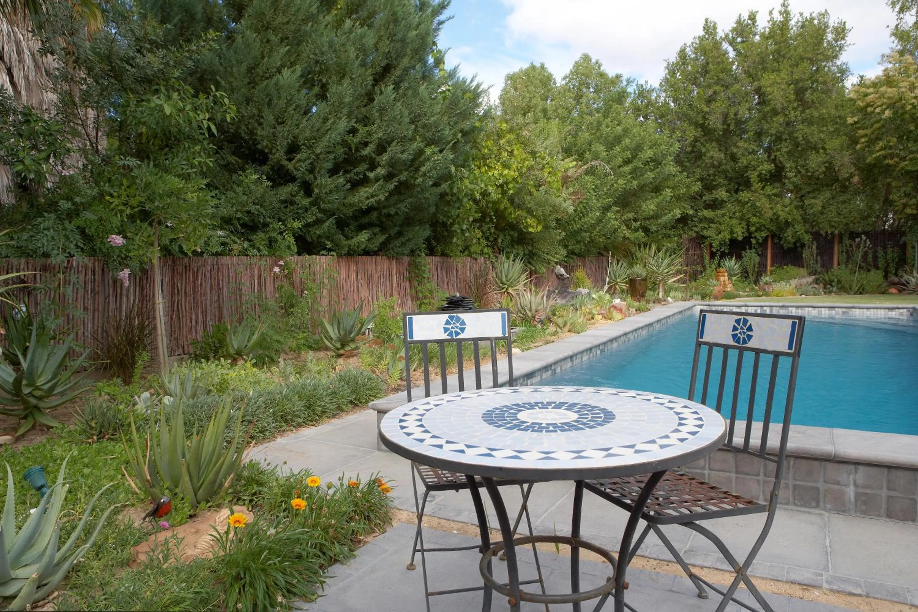 Swimming pool in Yellow Aloe