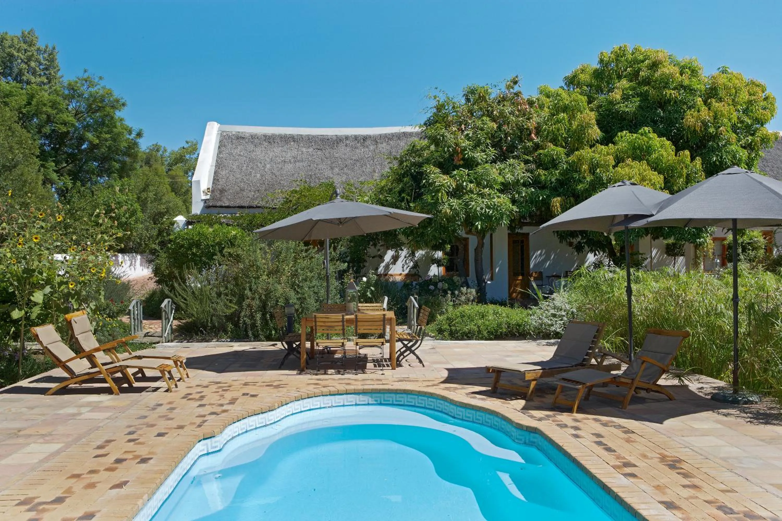 Swimming pool in Yellow Aloe