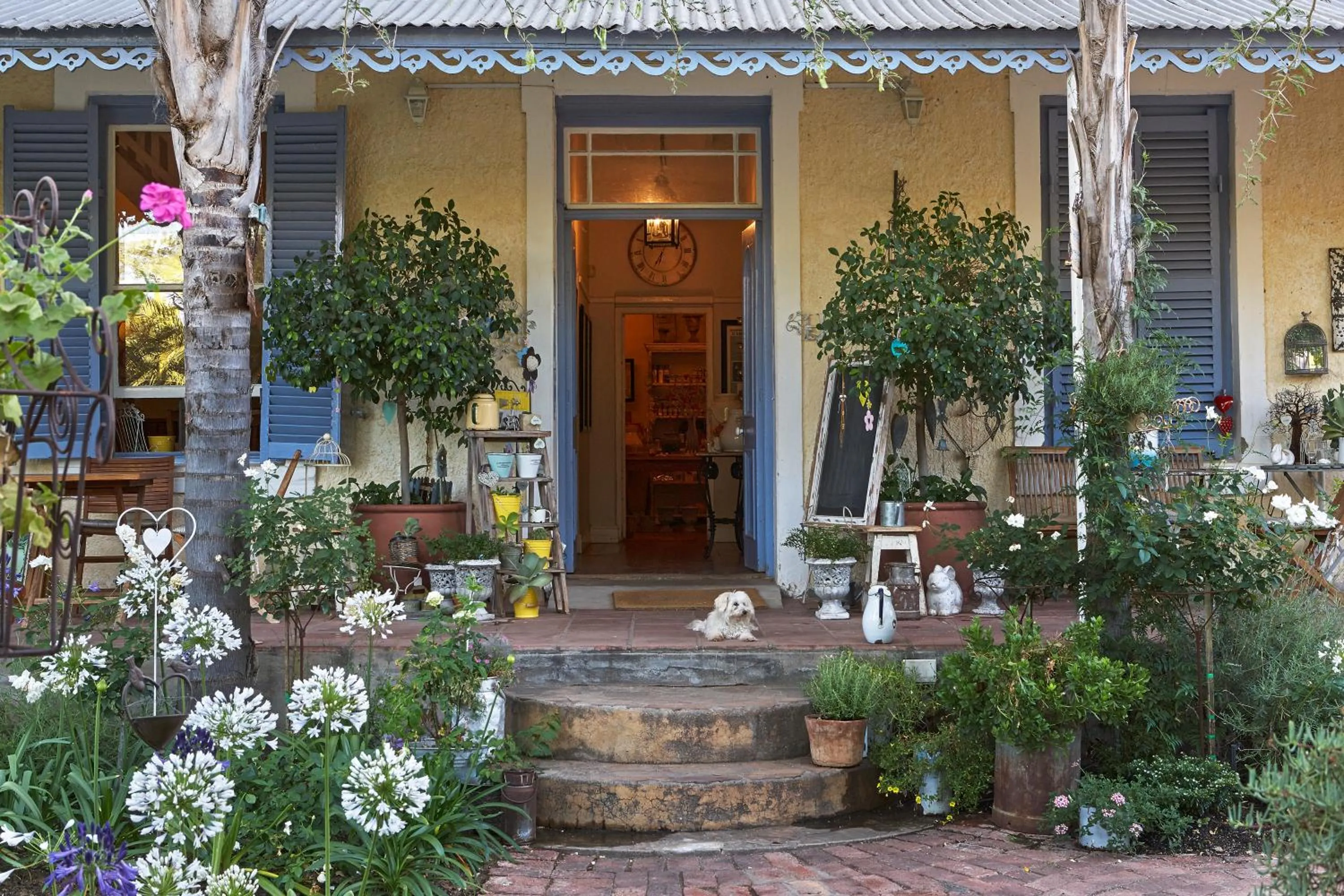 Facade/entrance in Yellow Aloe