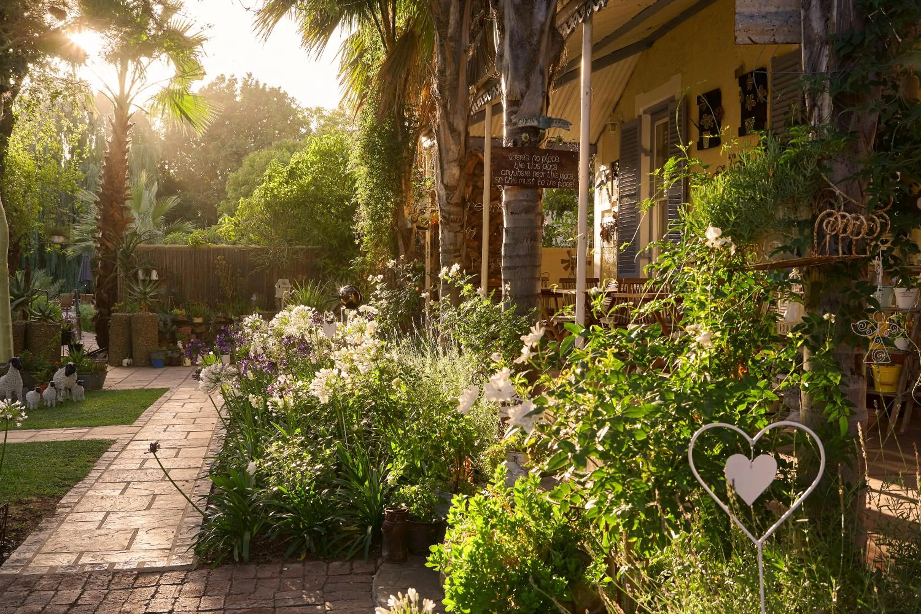 Garden in Yellow Aloe