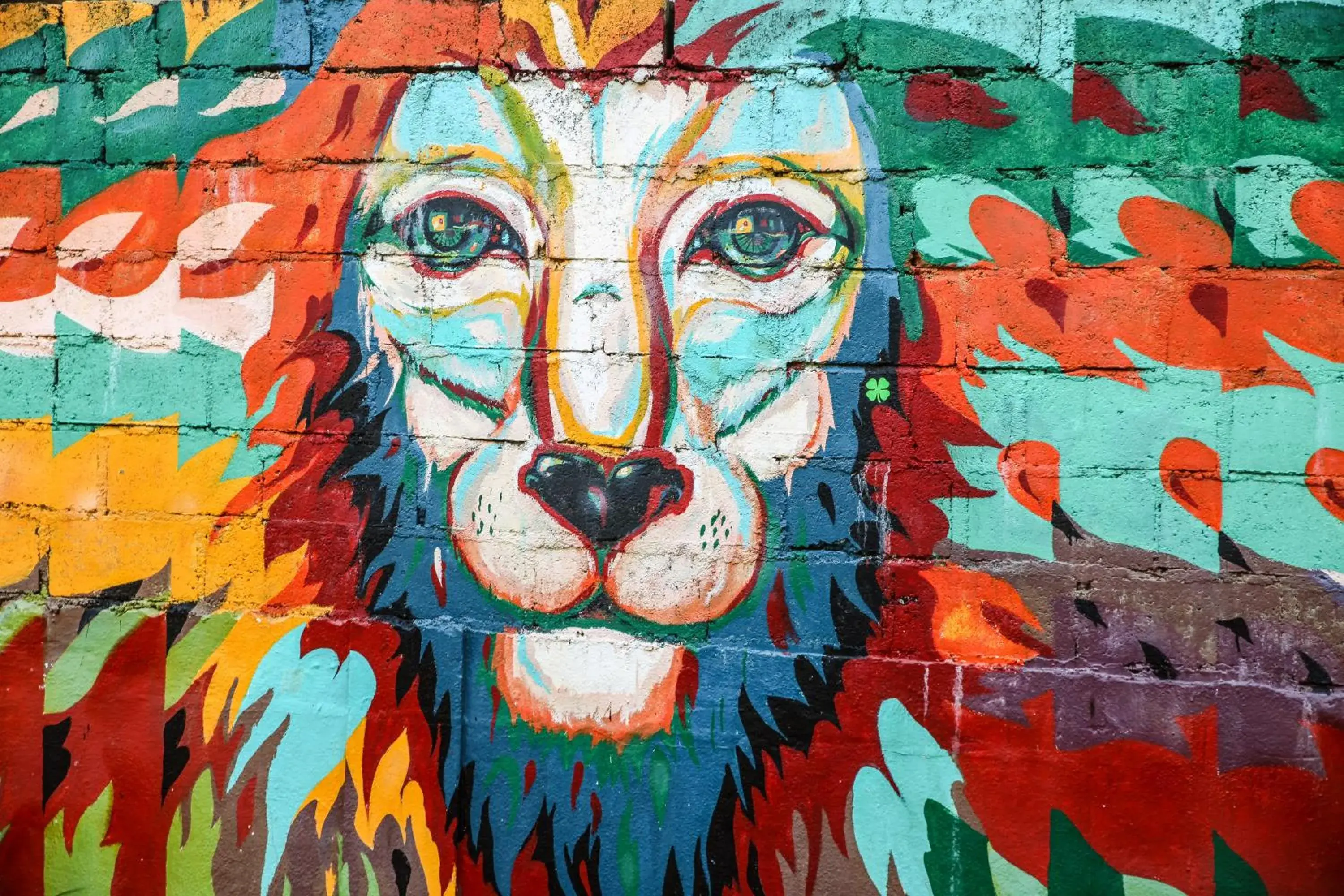 Street view in Hostel First Mirissa Street view in Hostel First Mirissa