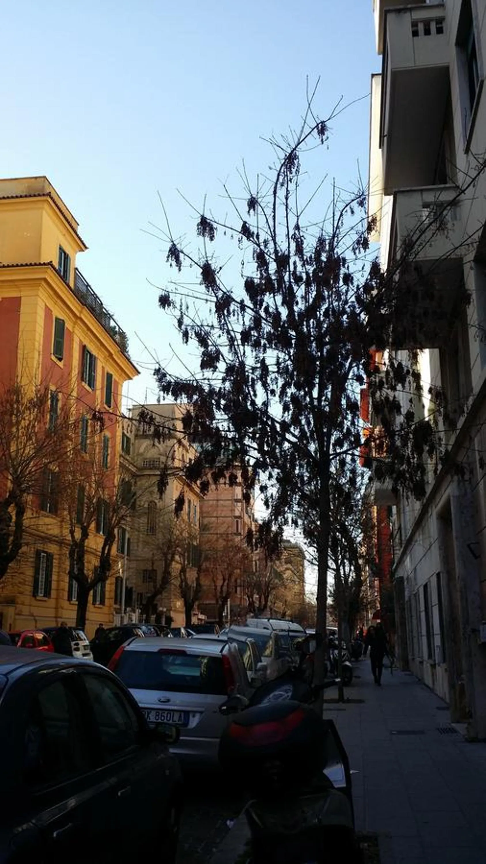 Facade/entrance in Jadore Monic