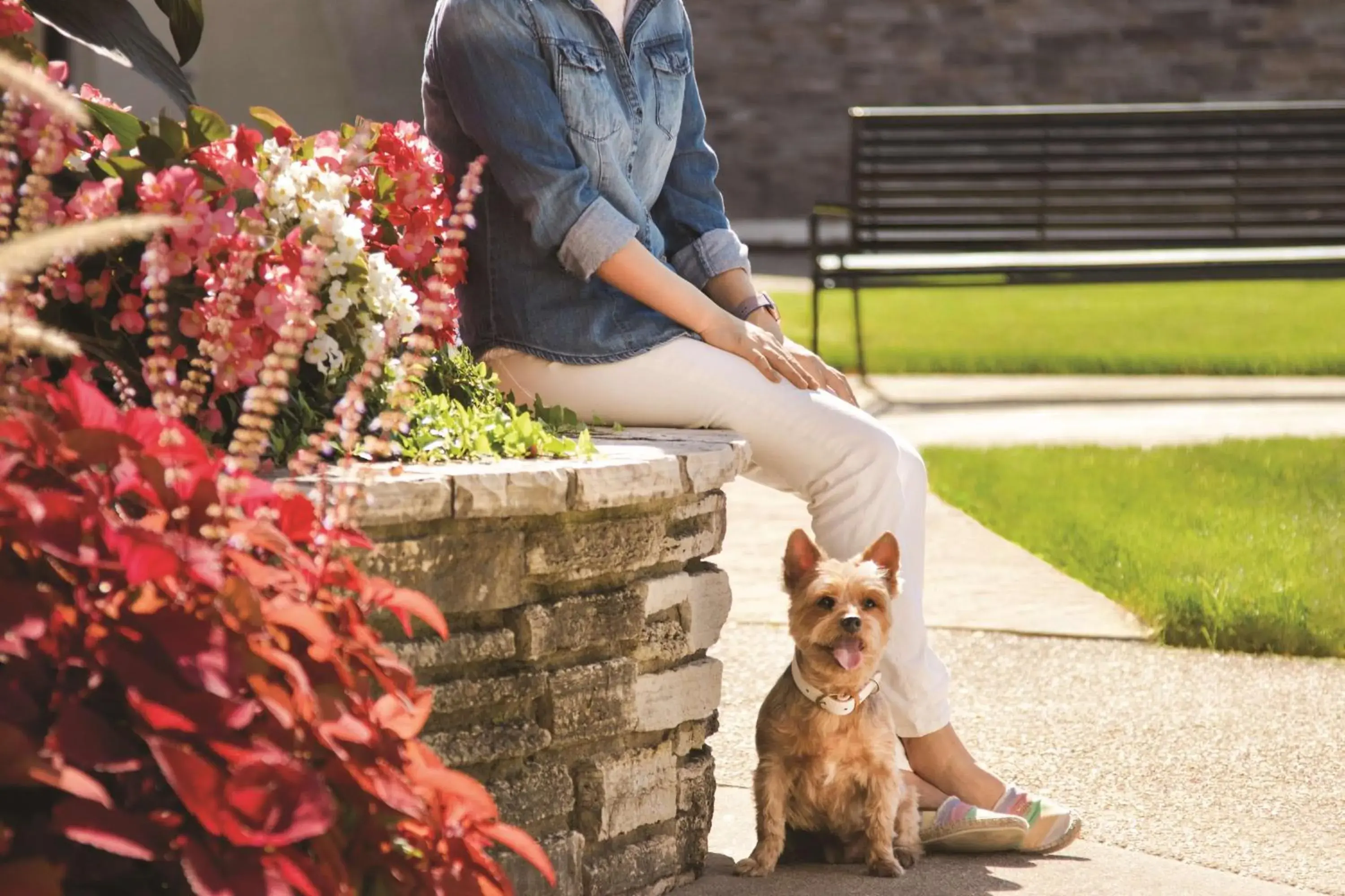 Fitness centre/facilities in Hyatt Place Chicago O'Hare Airport Fitness centre/facilities in Hyatt Place Chicago O'Hare Airport