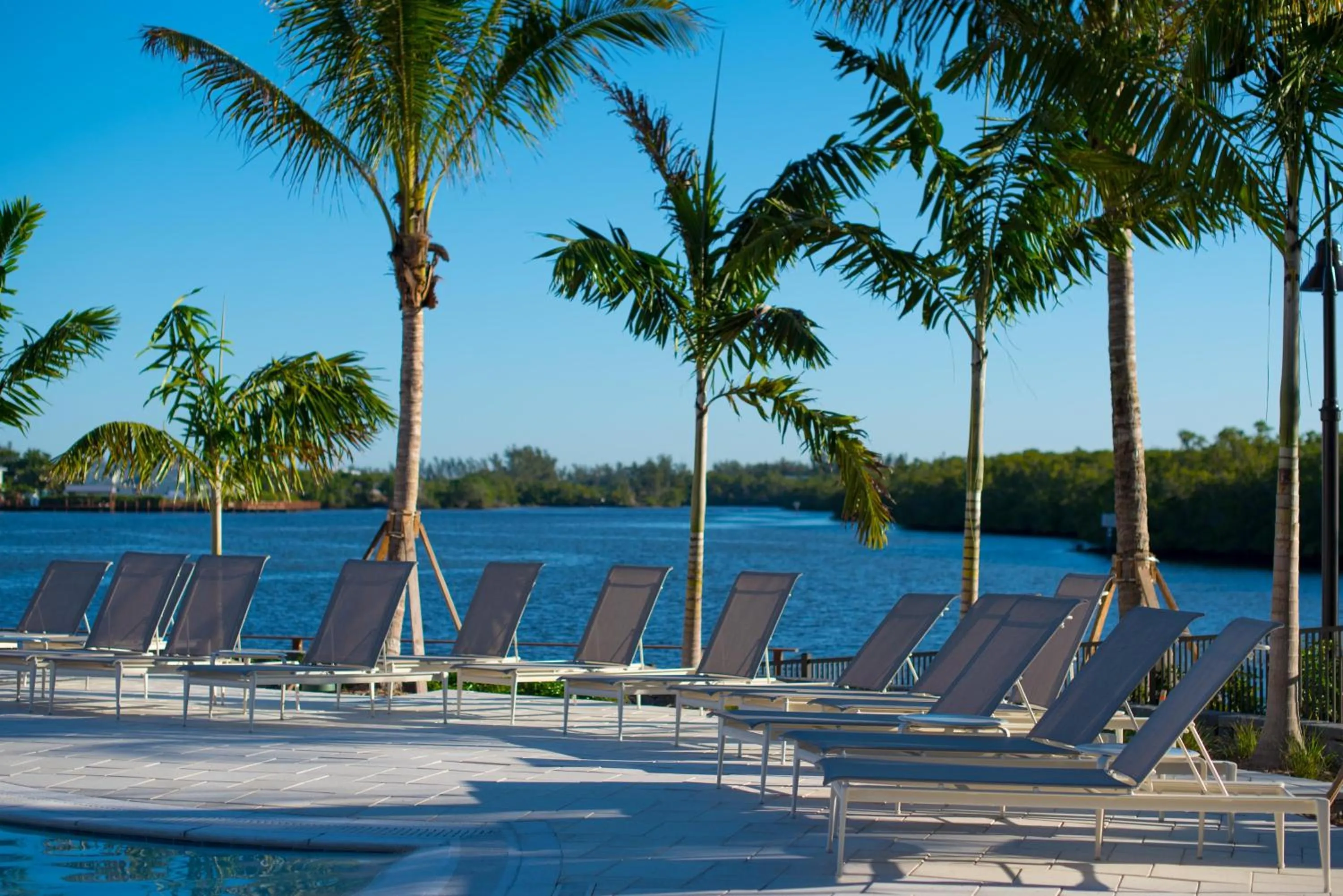 Swimming pool in Hyatt House Naples 5th Avenue