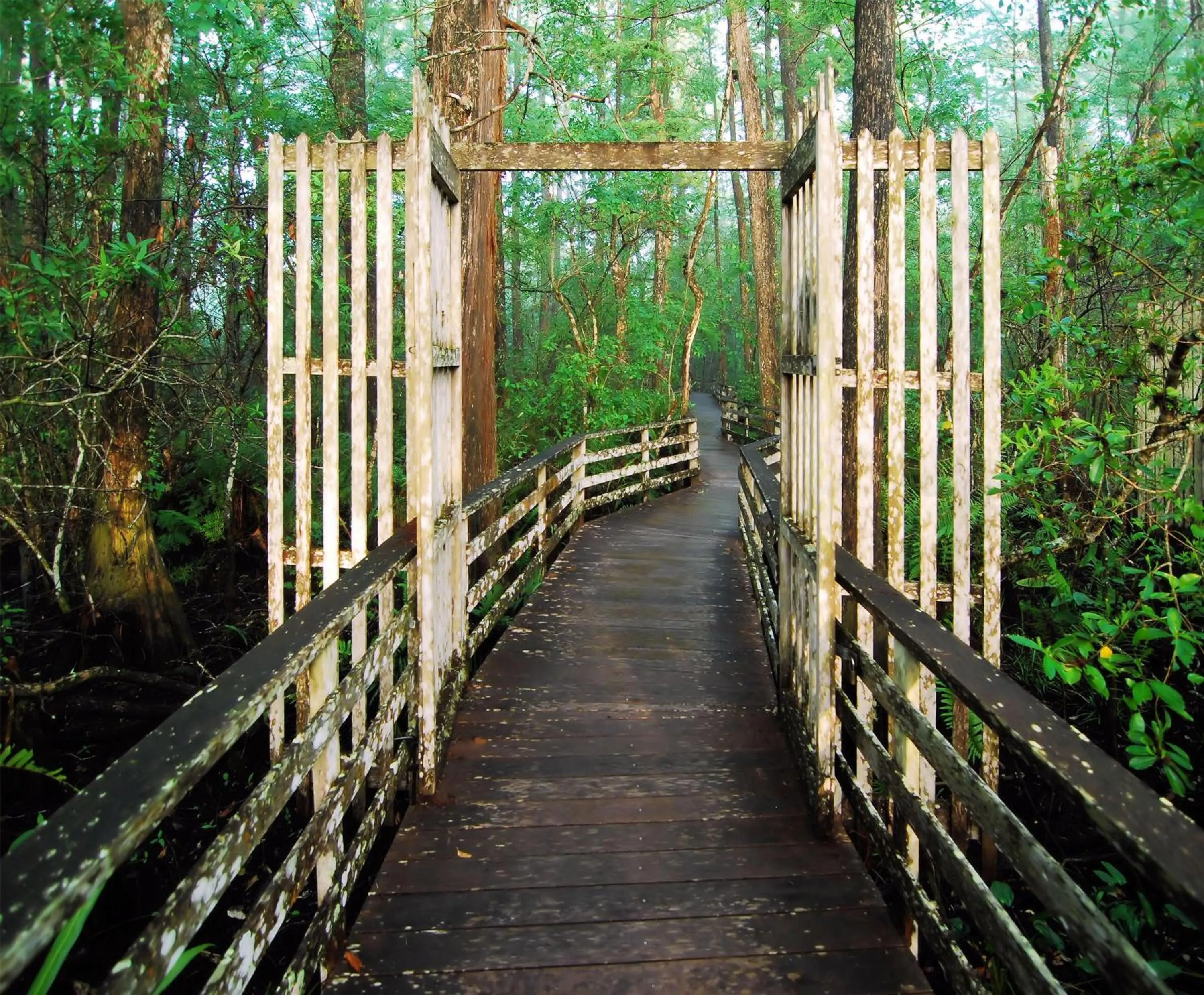 Location in Hyatt House Naples 5th Avenue