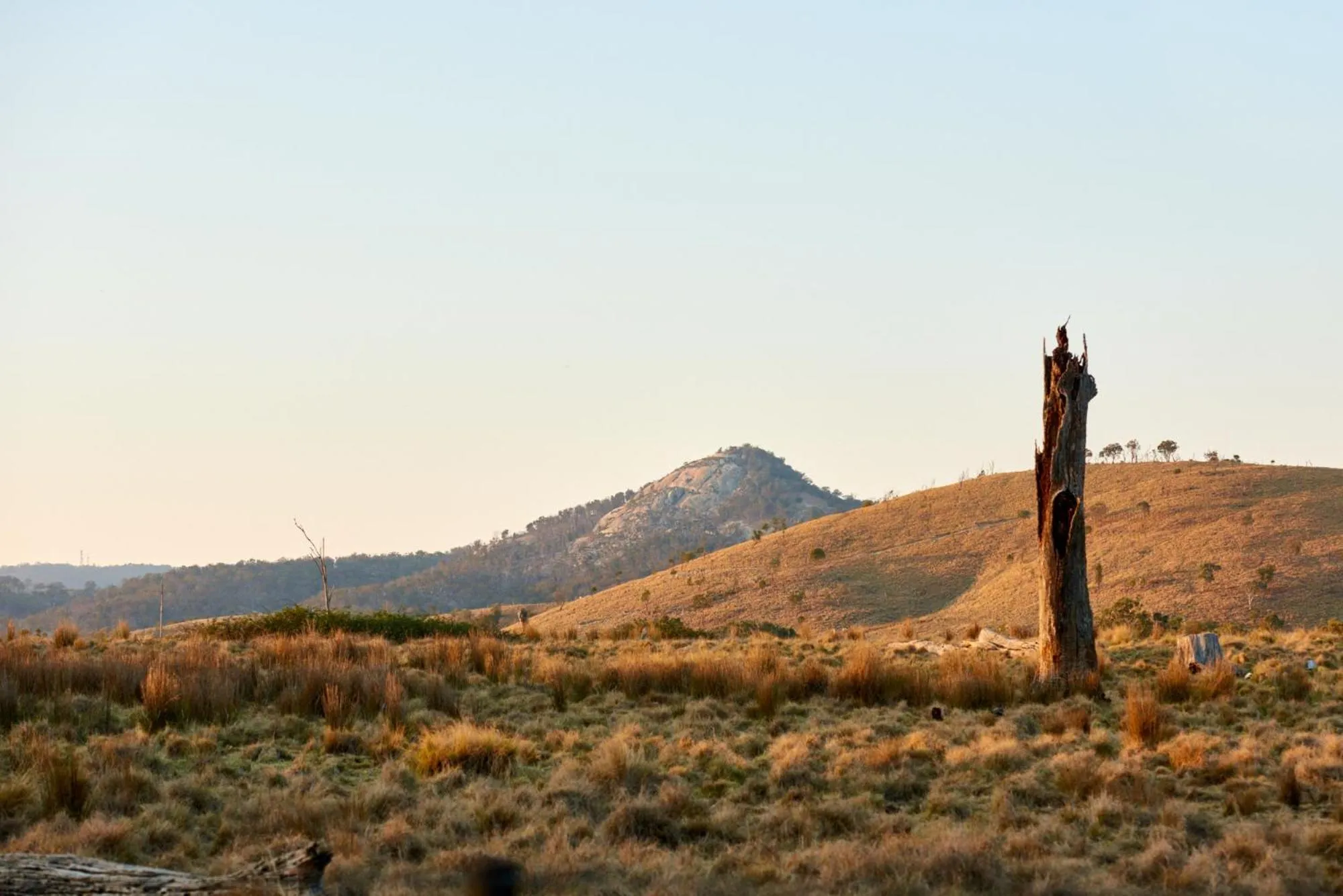 Tenterfield Lodge Caravan Park