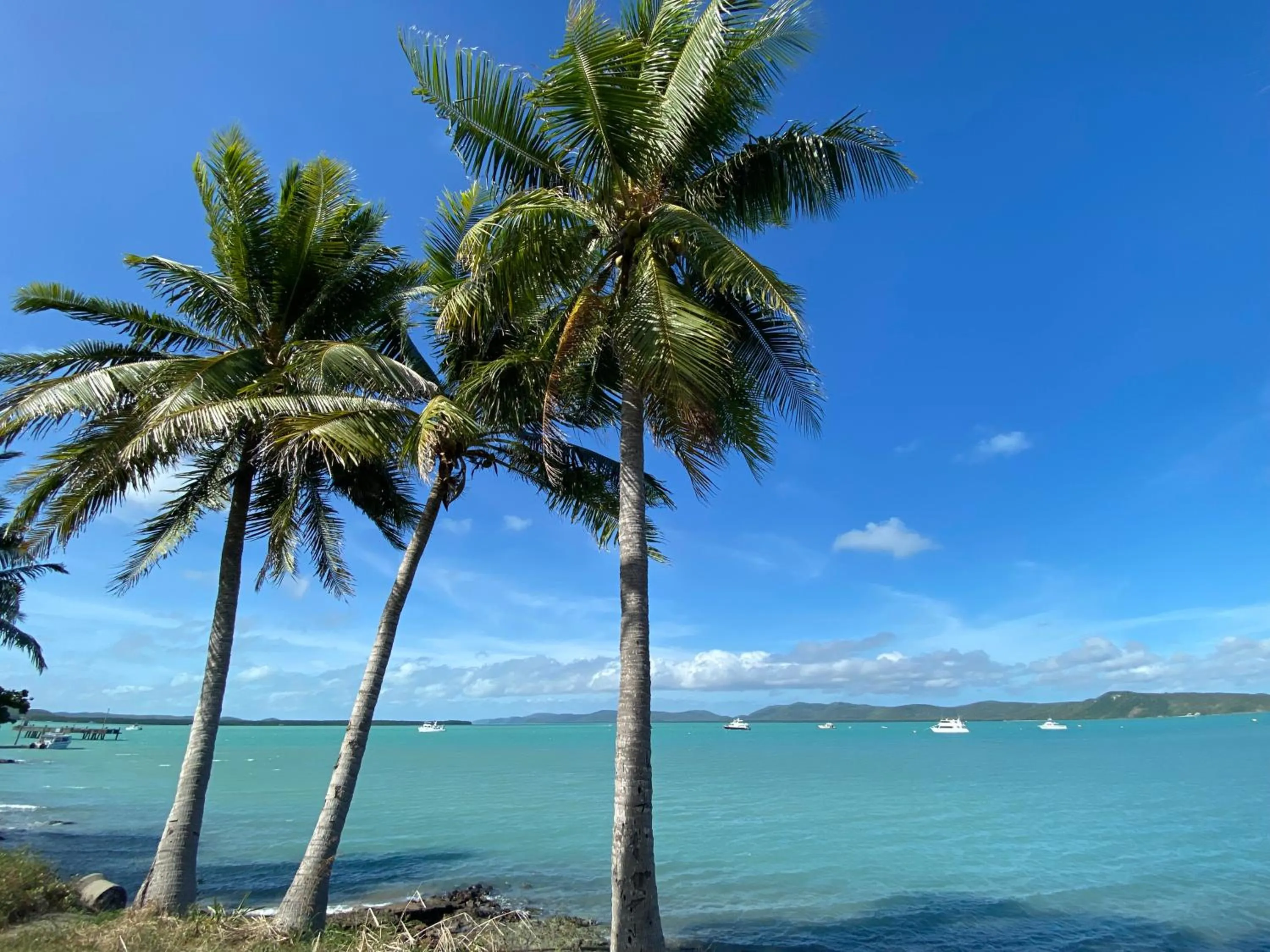 Natural landscape in Wongai Beach Hotel