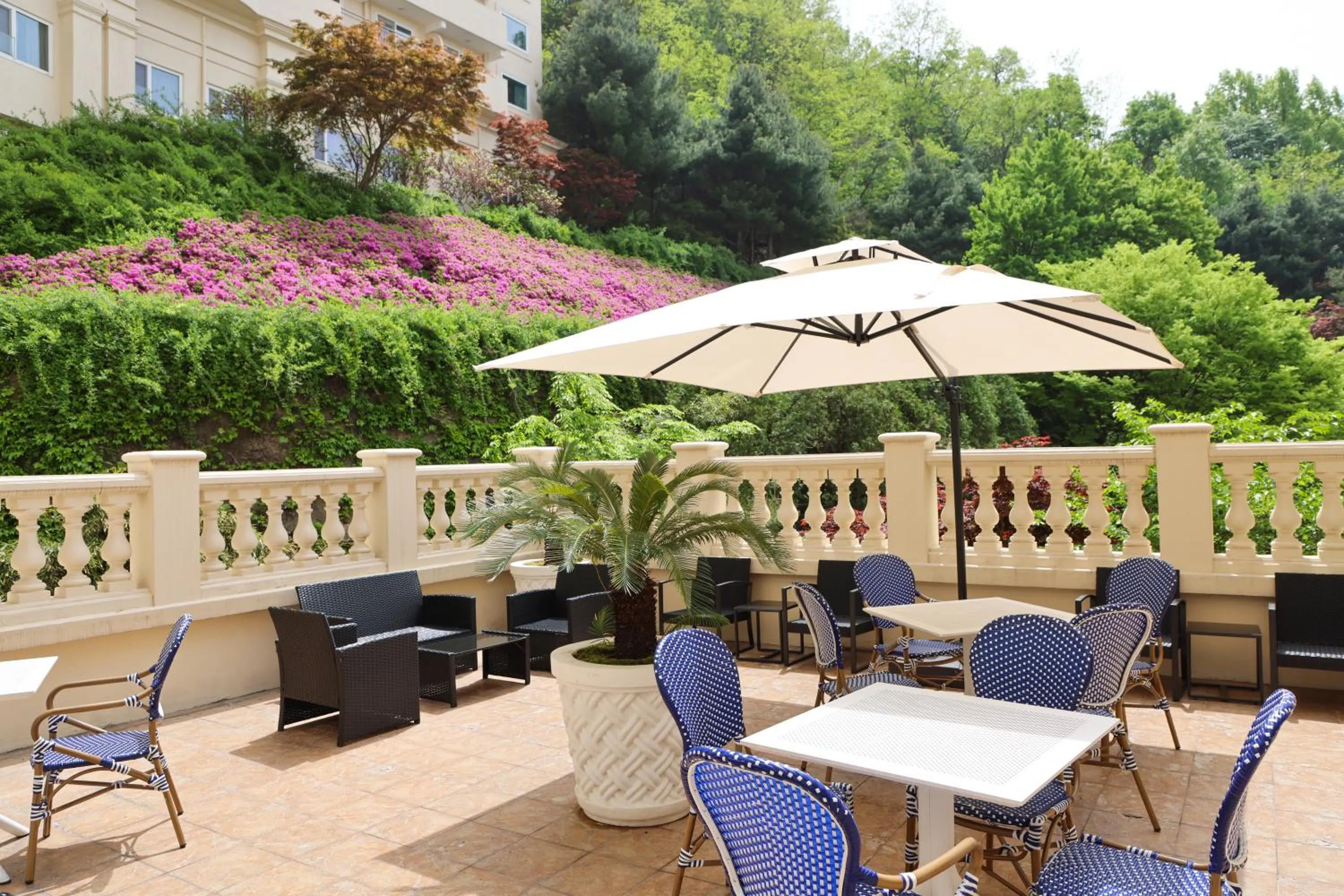 Restaurant/places to eat in La Vie D'or Resort