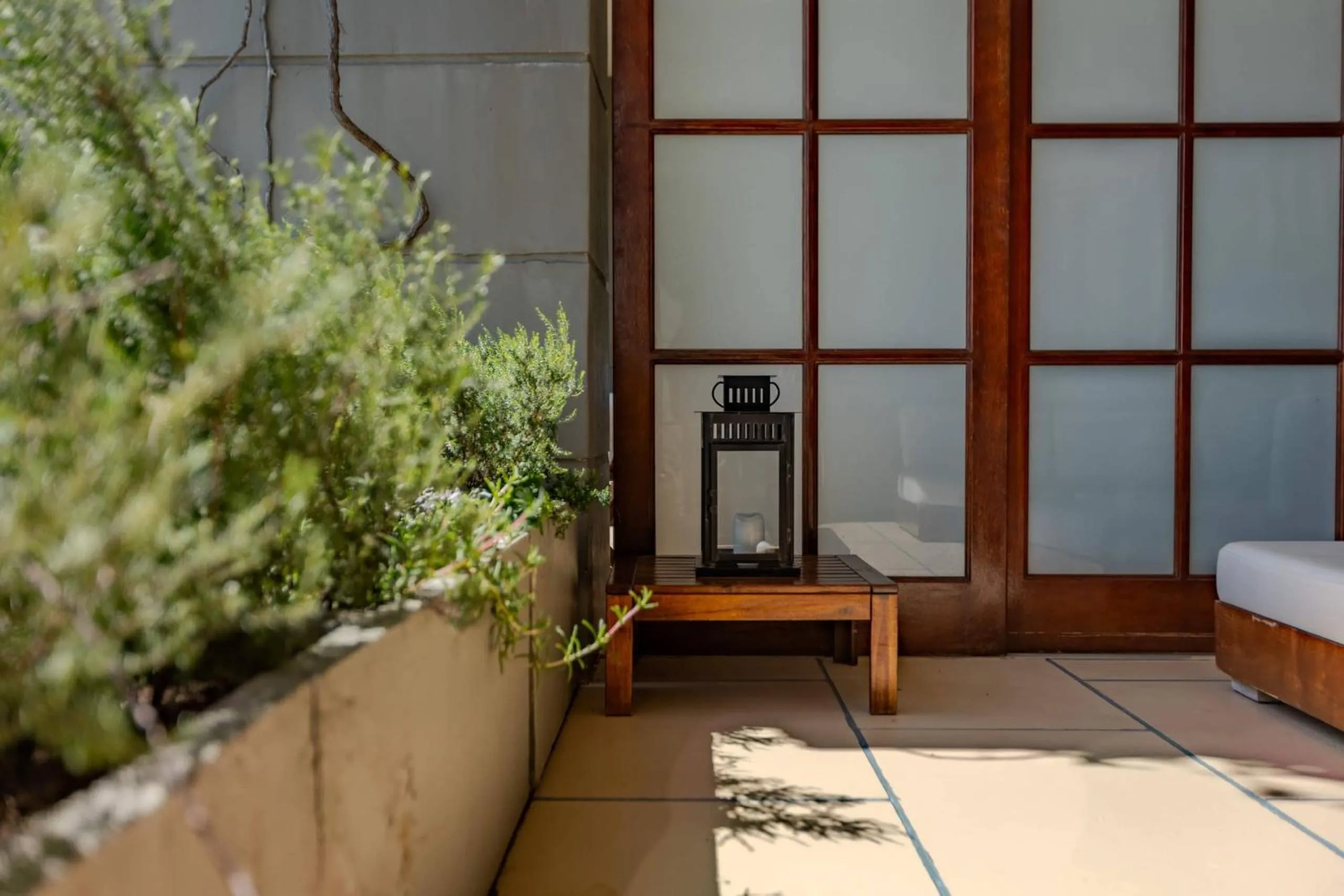 Patio in 21 Nettleton Boutique Hotel & Luxury Residence