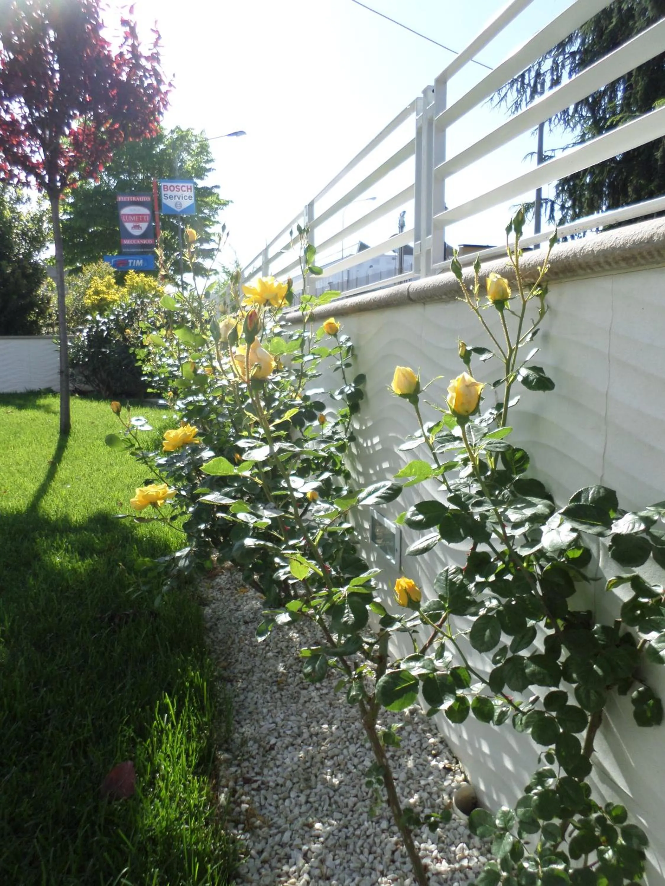 Garden view in H5-5H Luxury Room