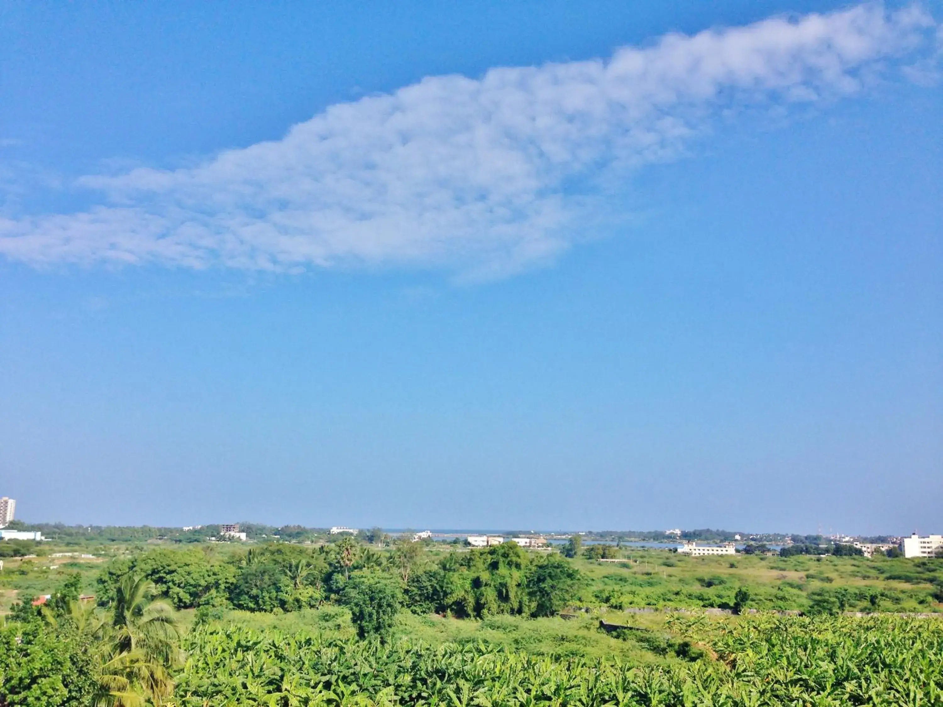 Lake view in Days Hotel by Wyndham Chennai OMR Lake view in Days Hotel by Wyndham Chennai OMR