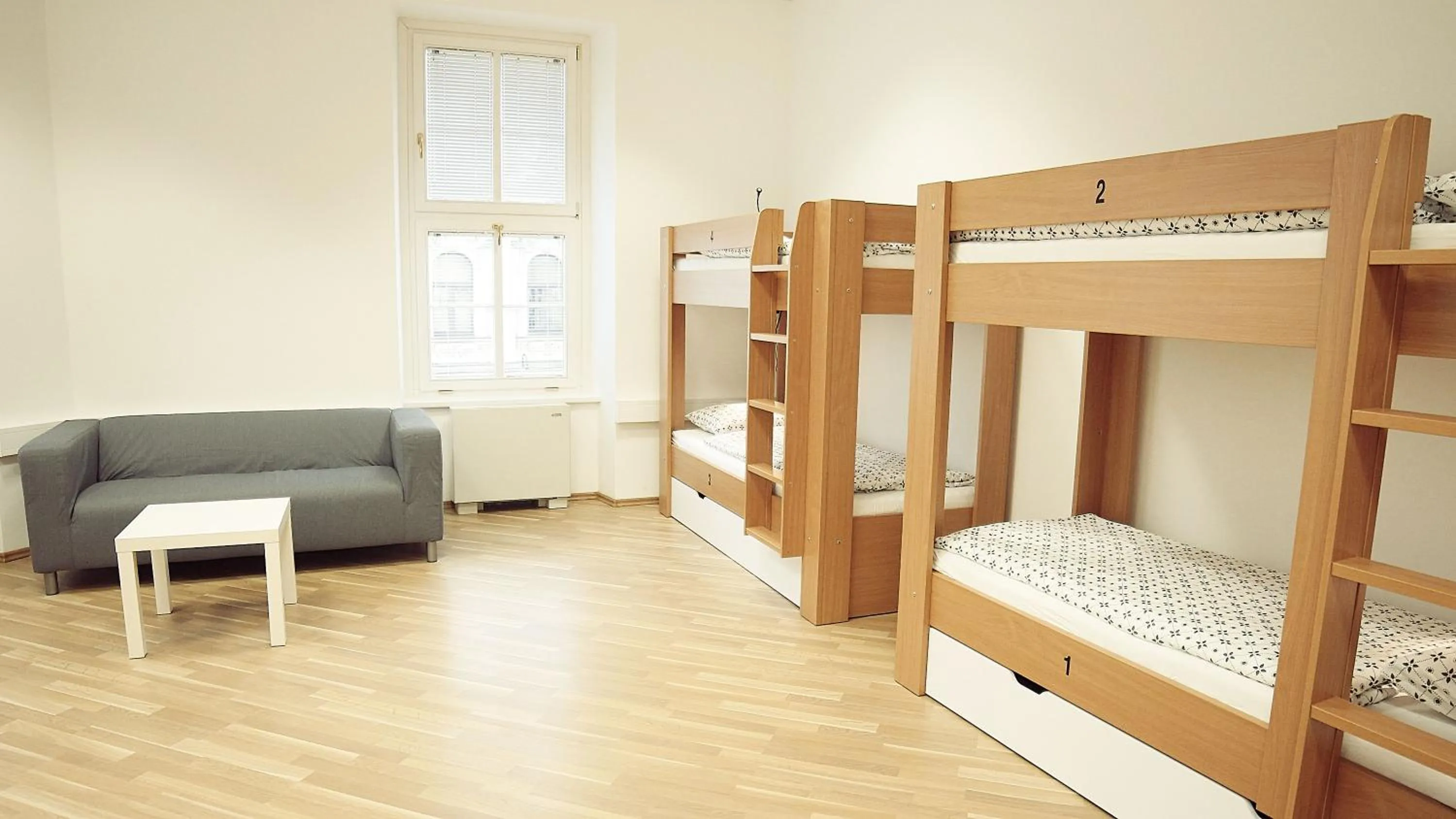 bunk bed, Bed in Hostel Folks