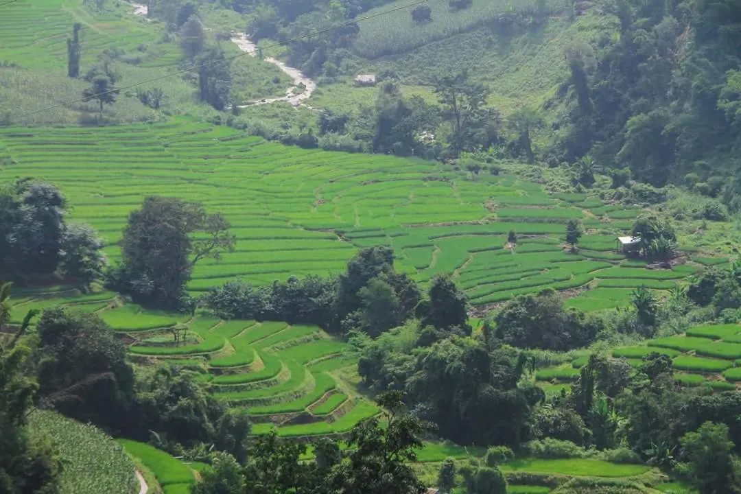 People in KowitFarmstay