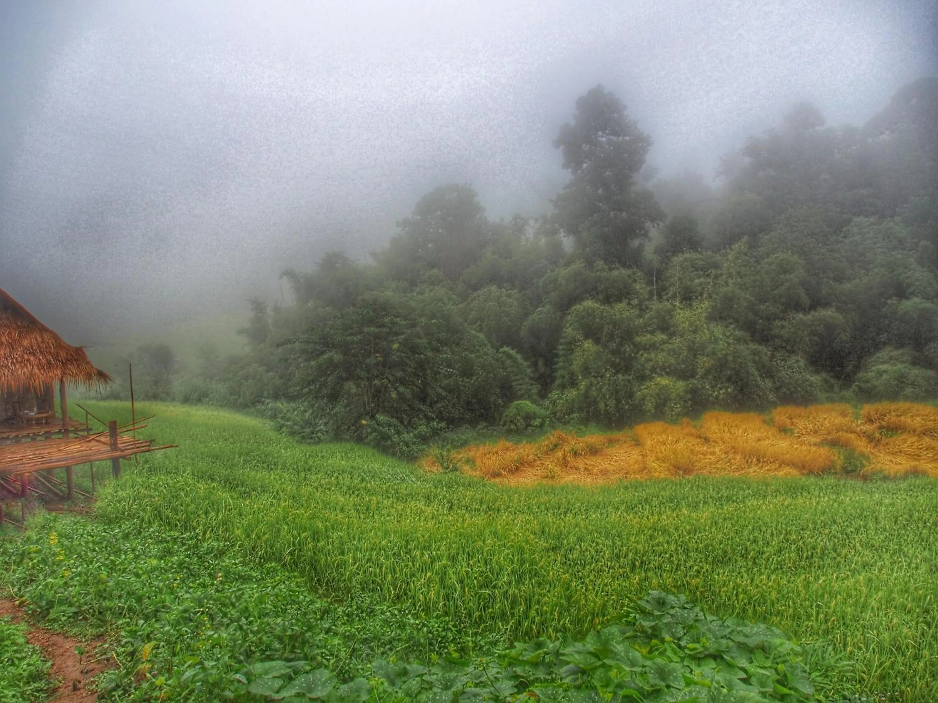 Natural landscape in KowitFarmstay