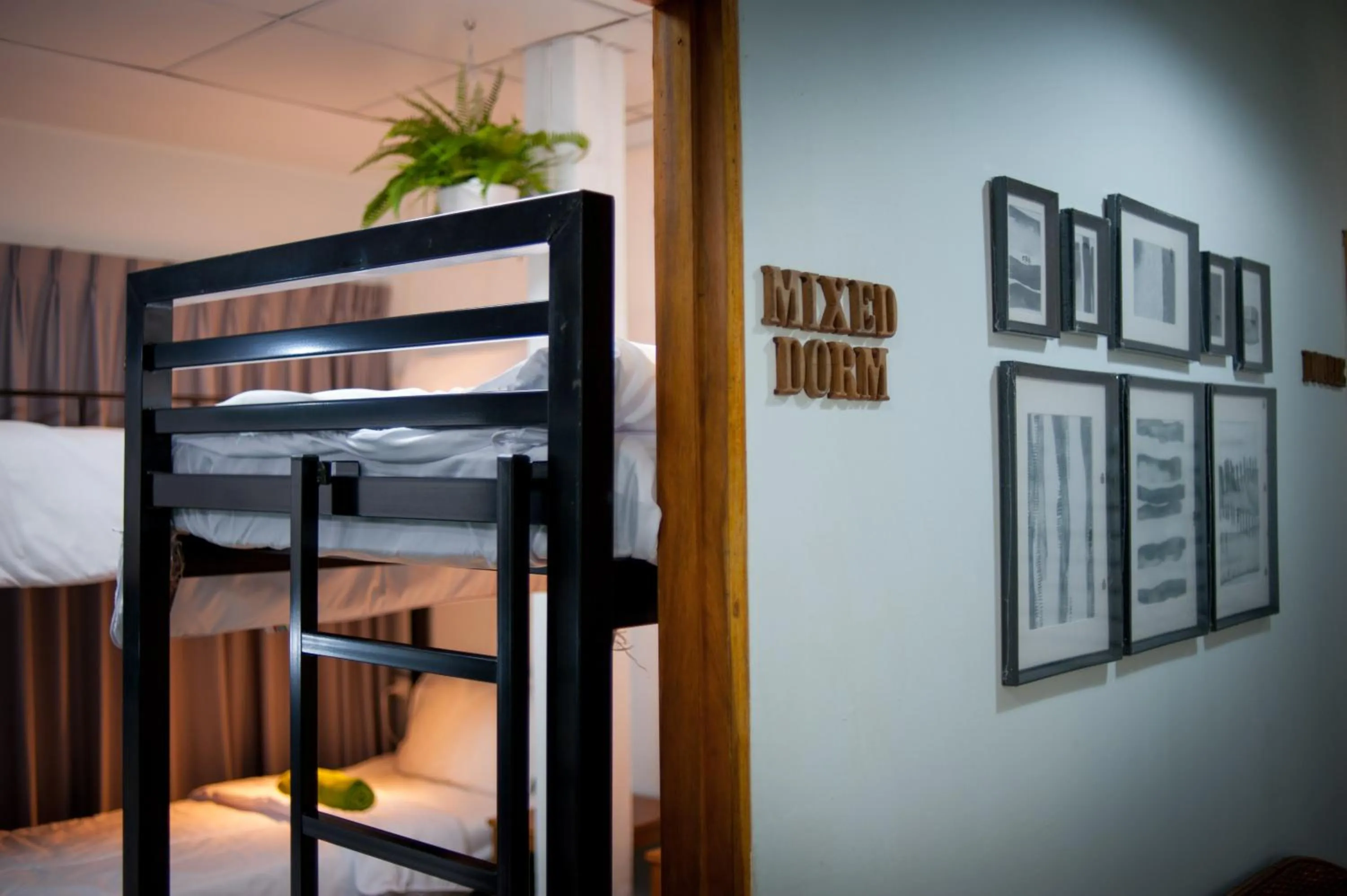 Bed in Victory Park Hostel