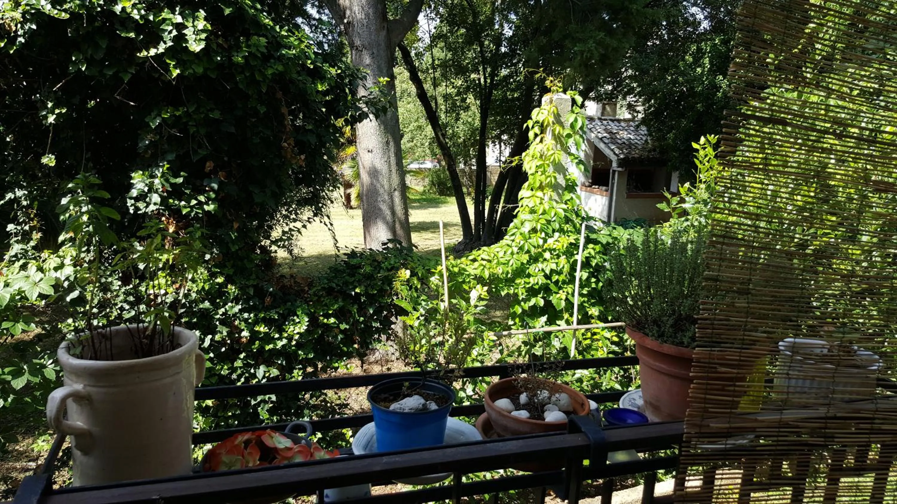 Balcony/Terrace in B&B In Sabina