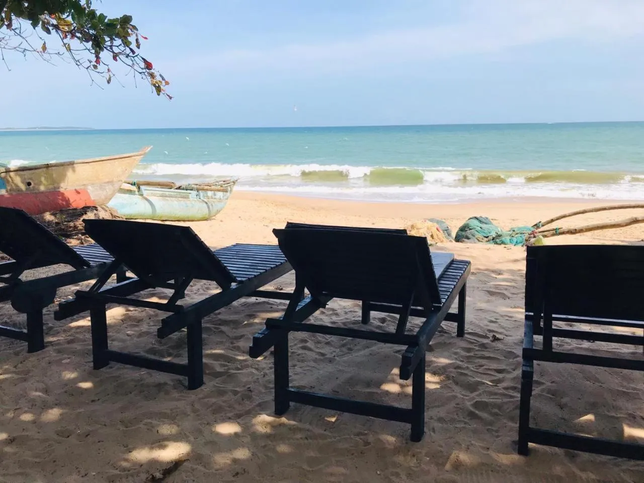 Garden in Sunray Beach House