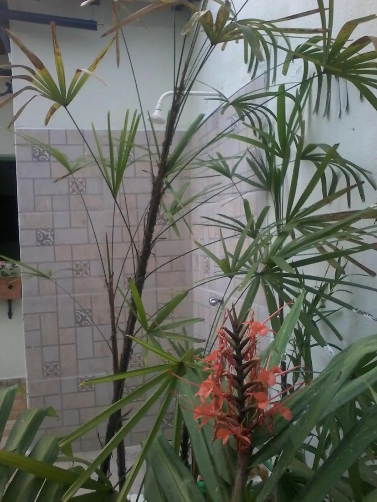 Shower in Praia Suítes Itagua Ubatuba