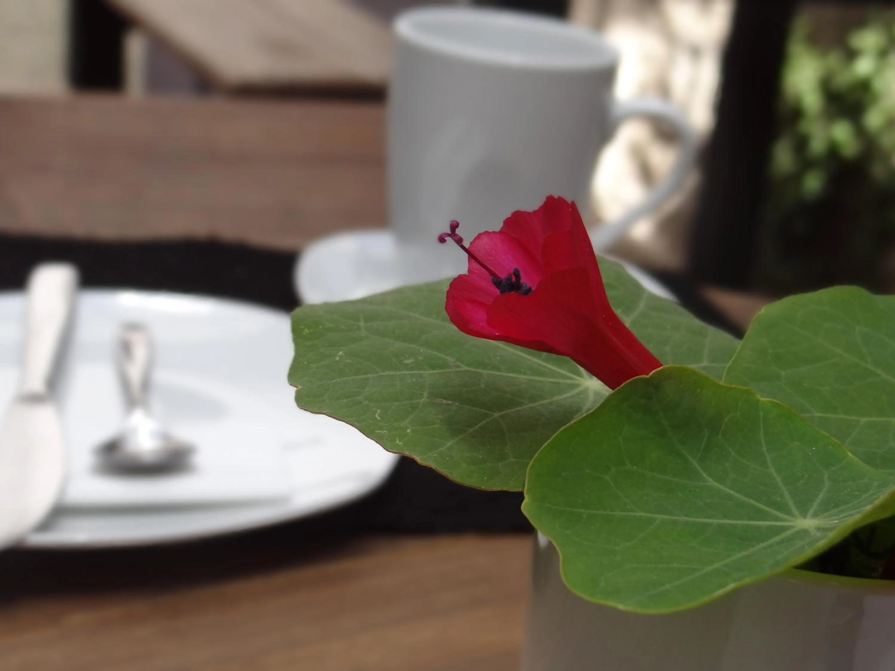 Patio in El Museo Hotel Boutique