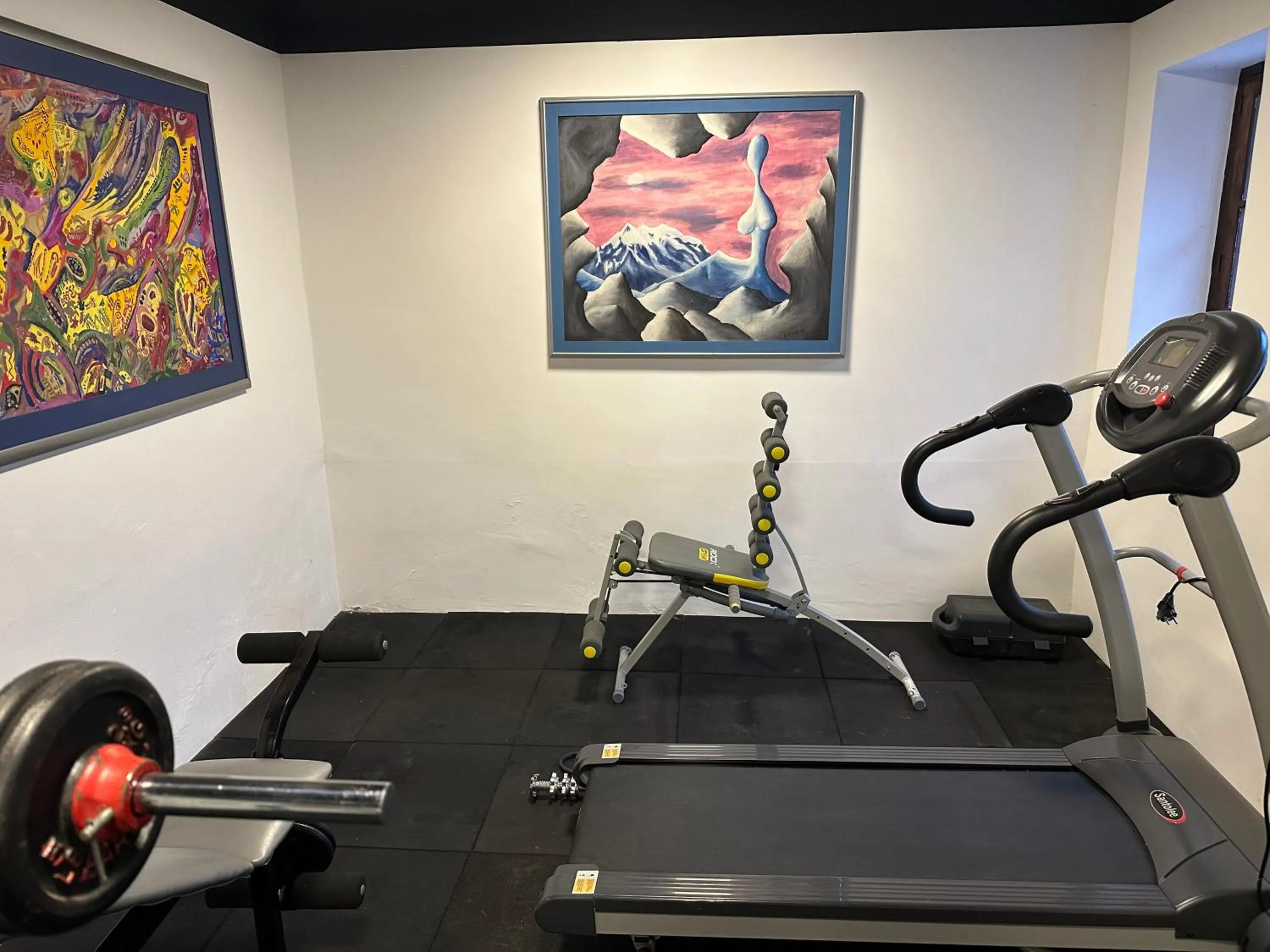 Fitness centre/facilities in El Museo Hotel Boutique