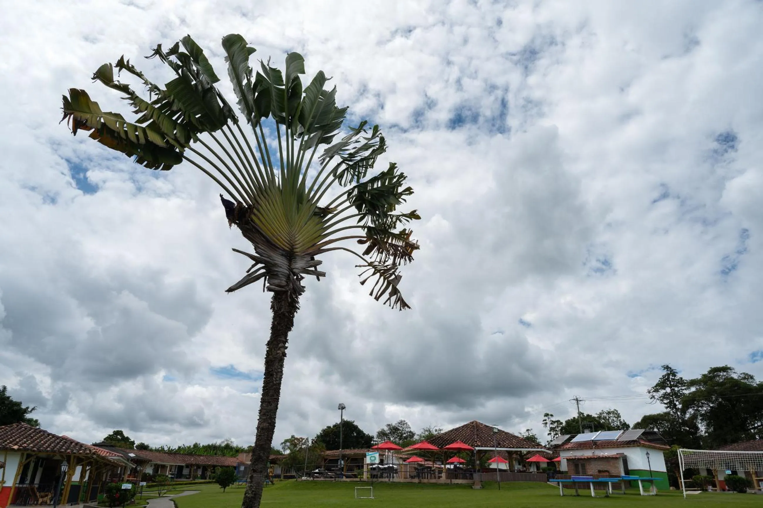 Property building in Hotel Campestre Montecarlo